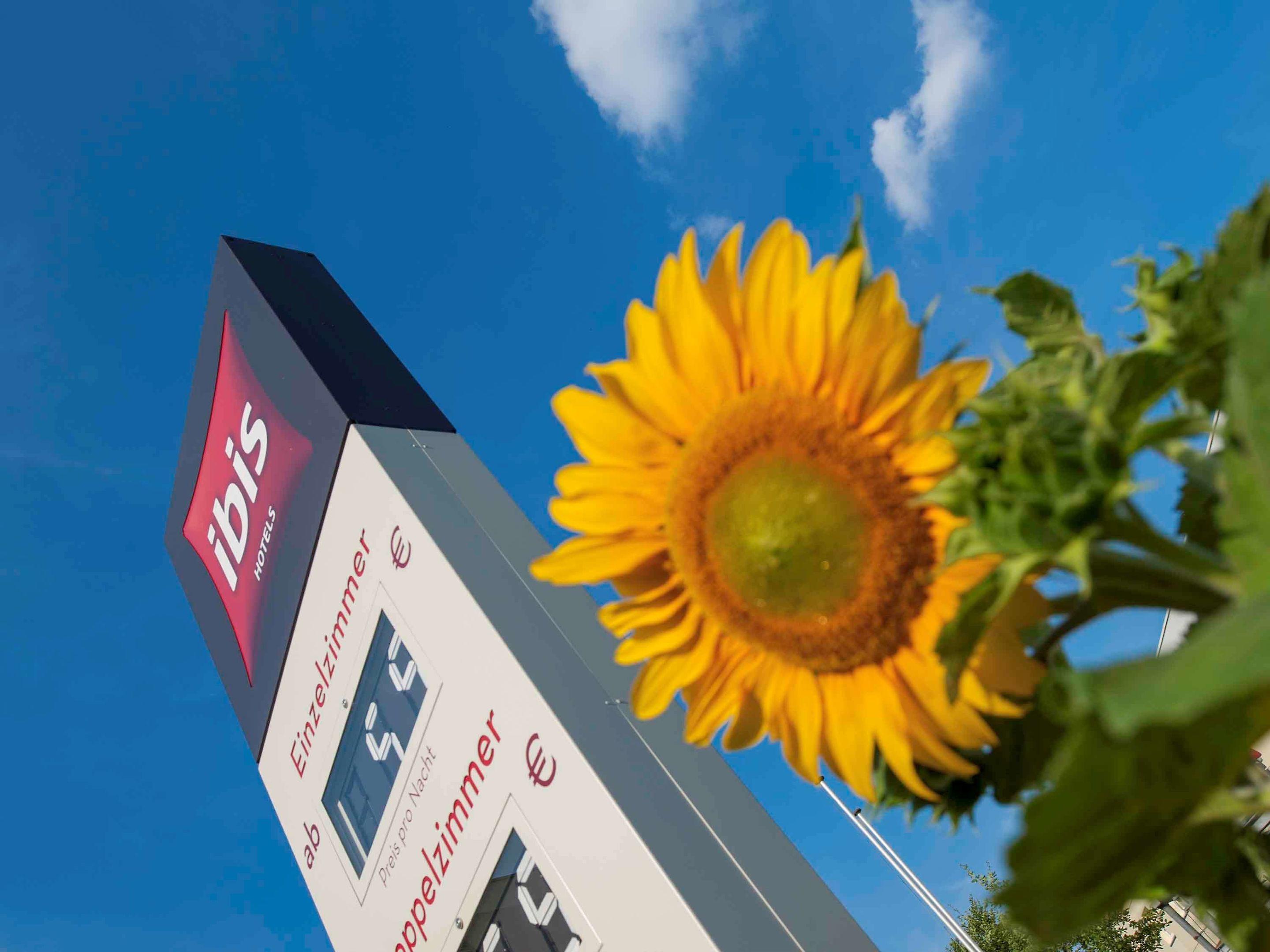 Hotel ibis Berlin Dreilinden — photo 4