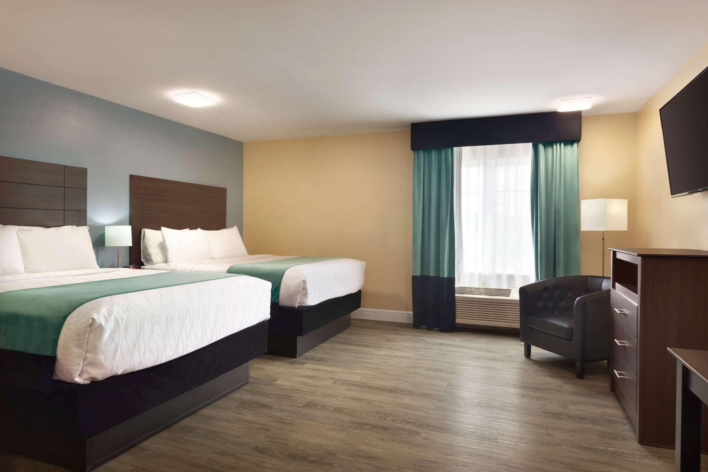 Flex Stay Hotel — photo 5