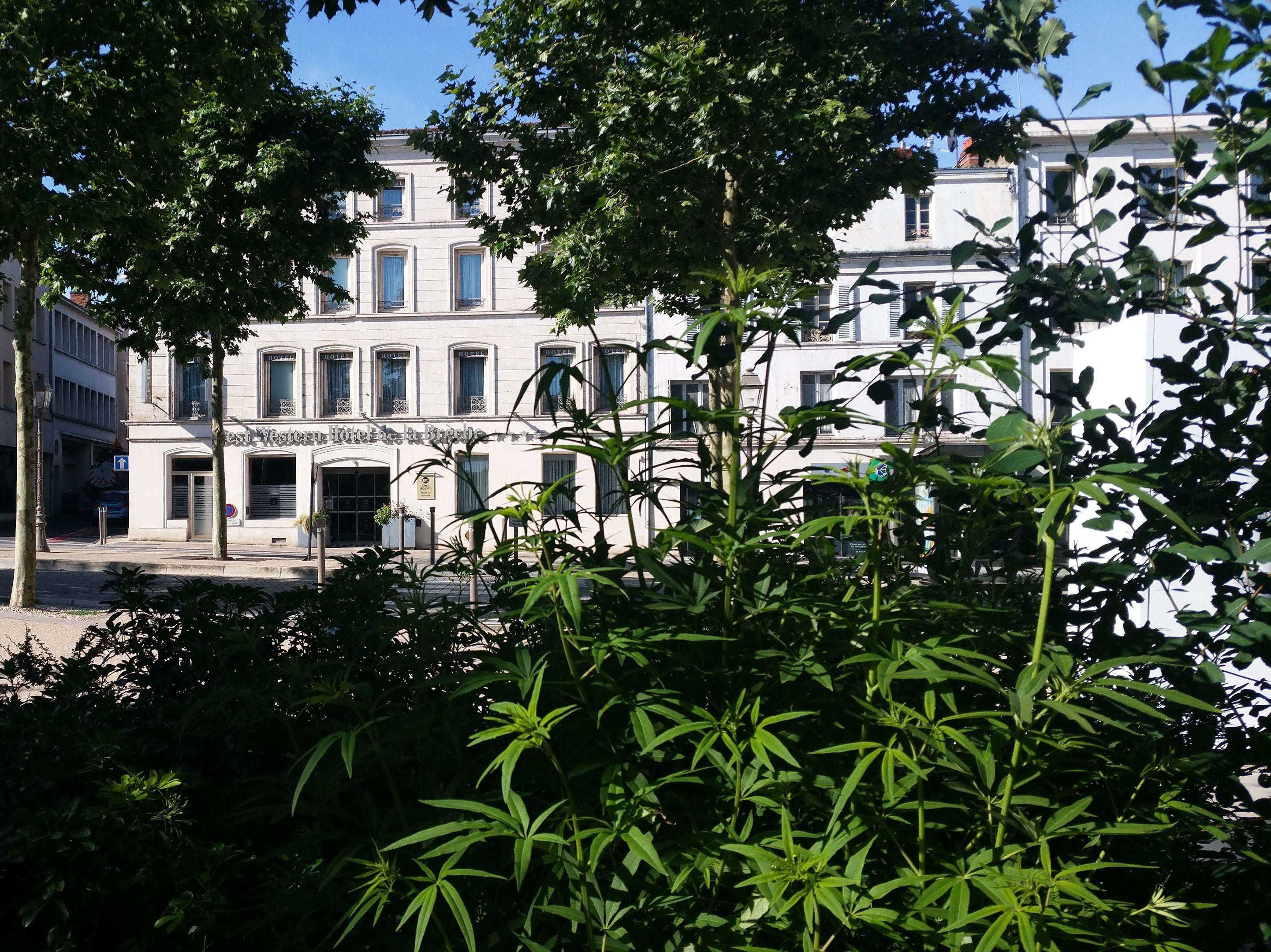 Best Western Hôtel de la Brèche — photo 3