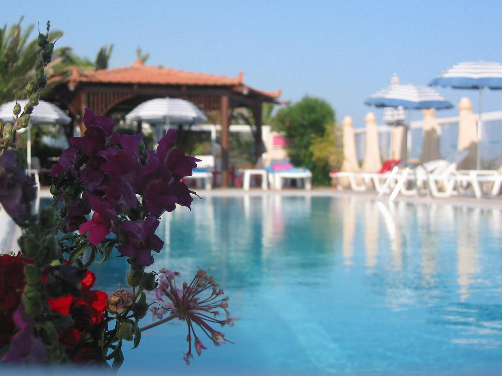 Nirvana Beach Hotel — photo 5