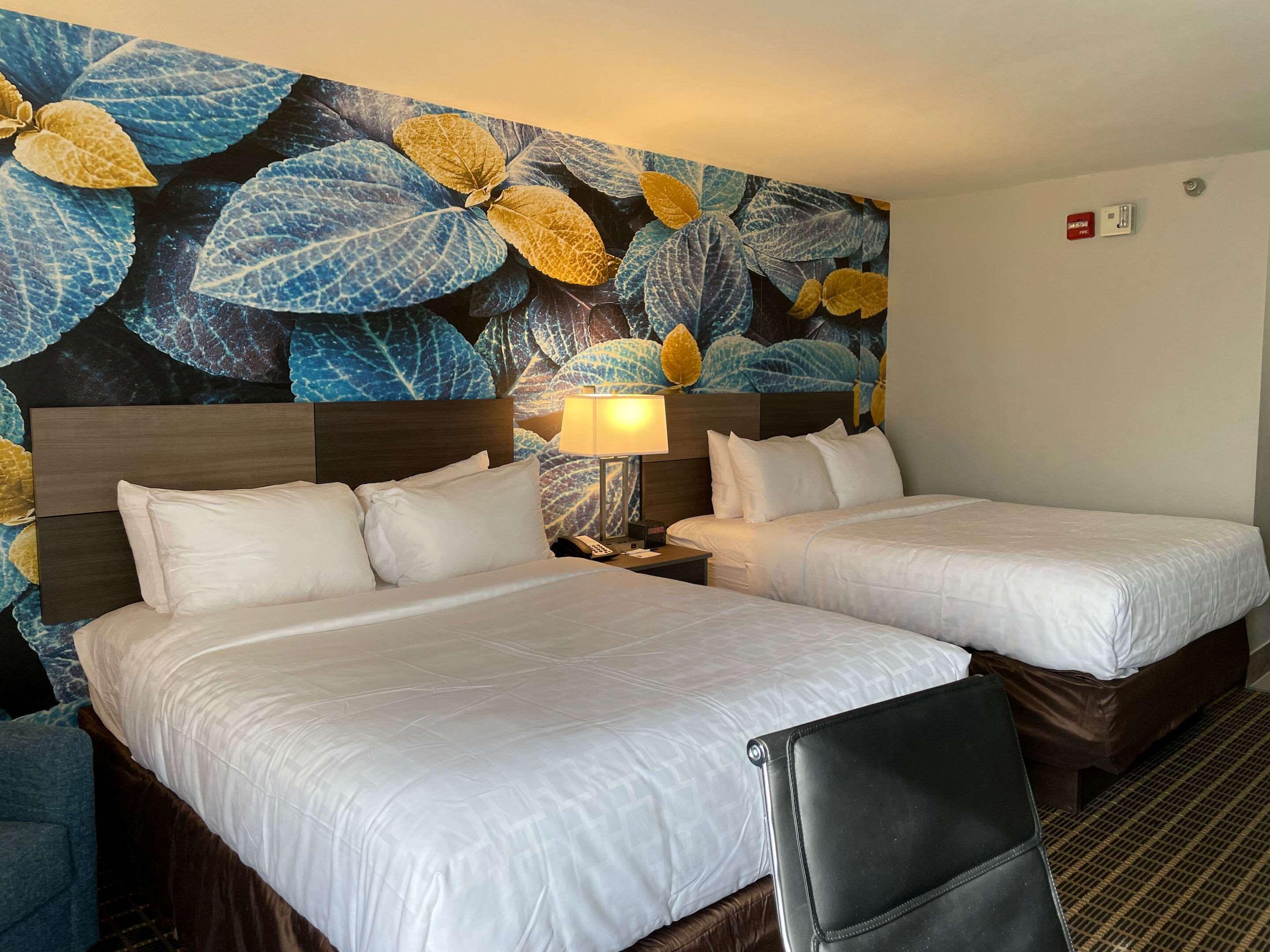 Clarion Inn South Boston-Danville East — photo 4