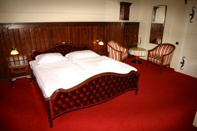 Hotel Alma & Grad Hrib — photo 5
