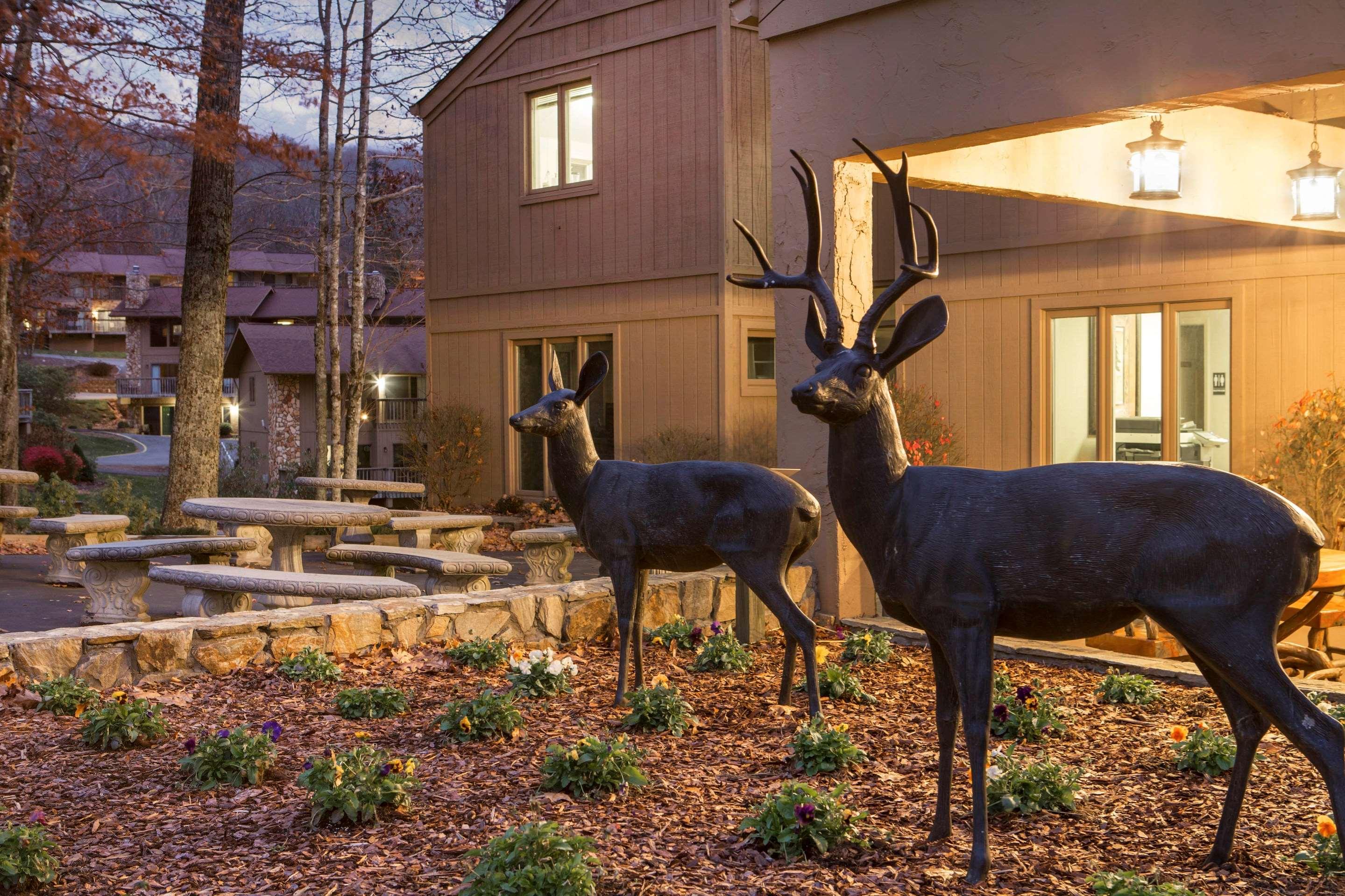 Blue Ridge Village — photo 3