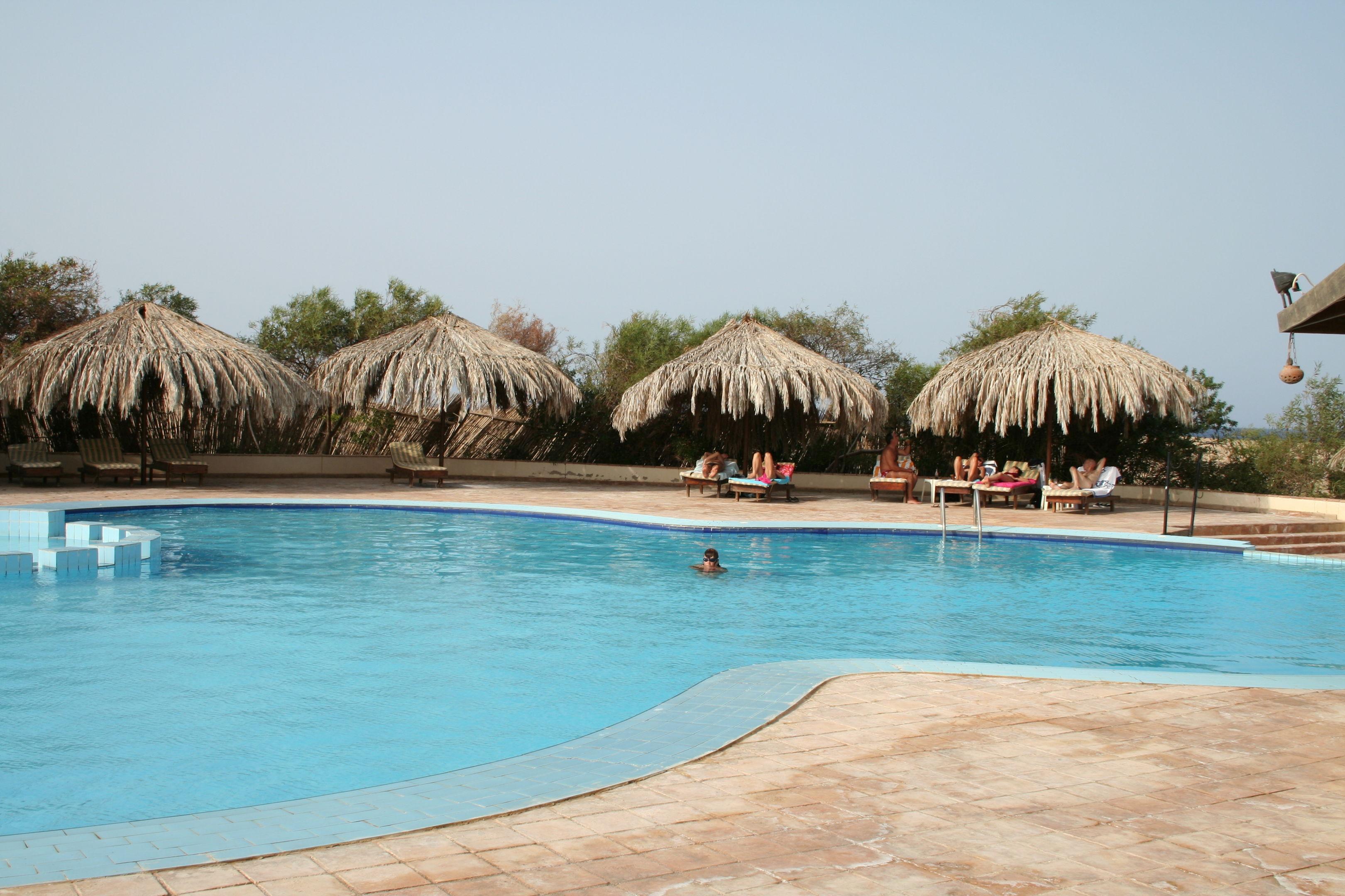 Mangrove Bay Resort — photo 5