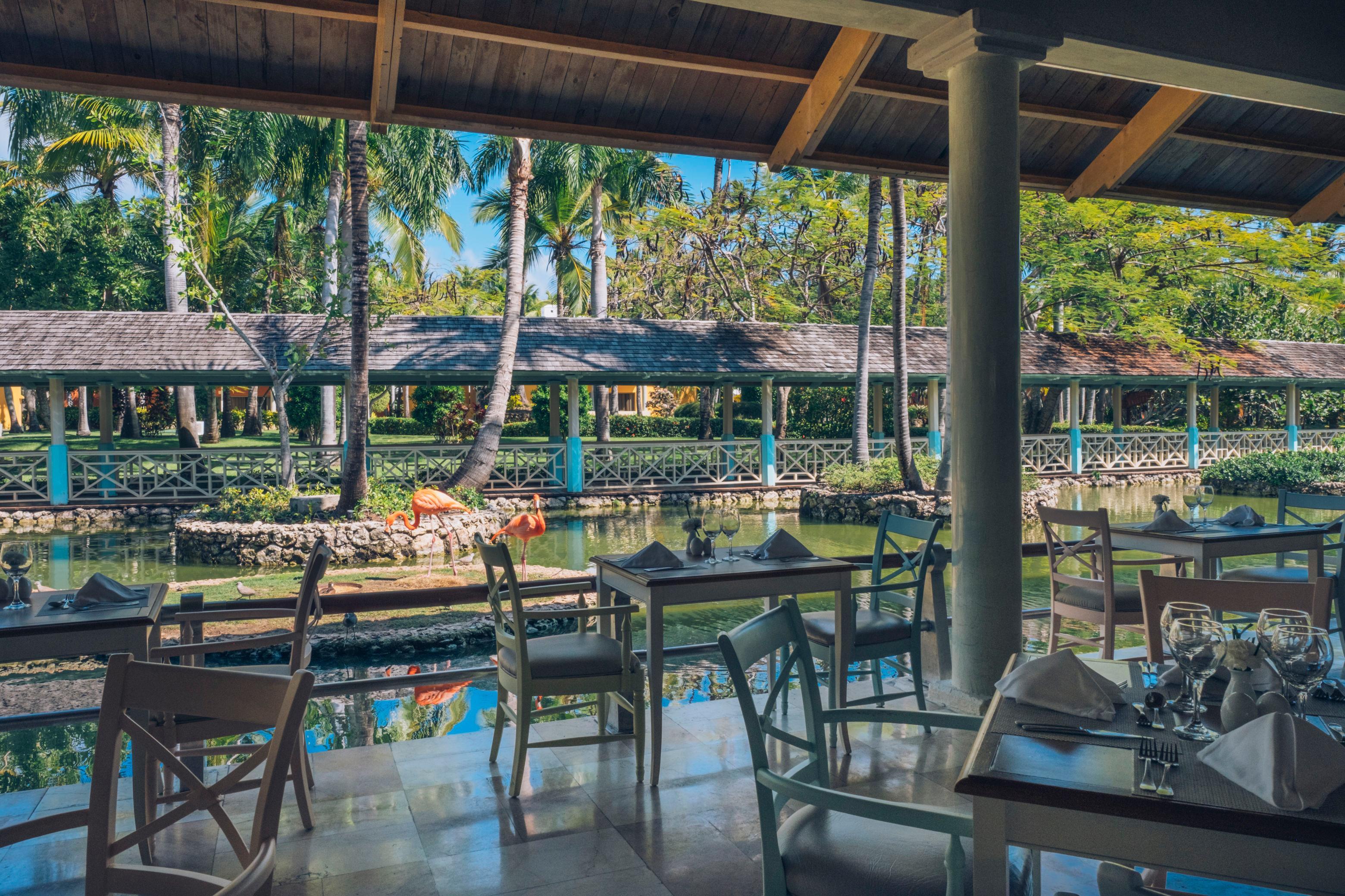 Iberostar Selection Bávaro Suites — photo 5
