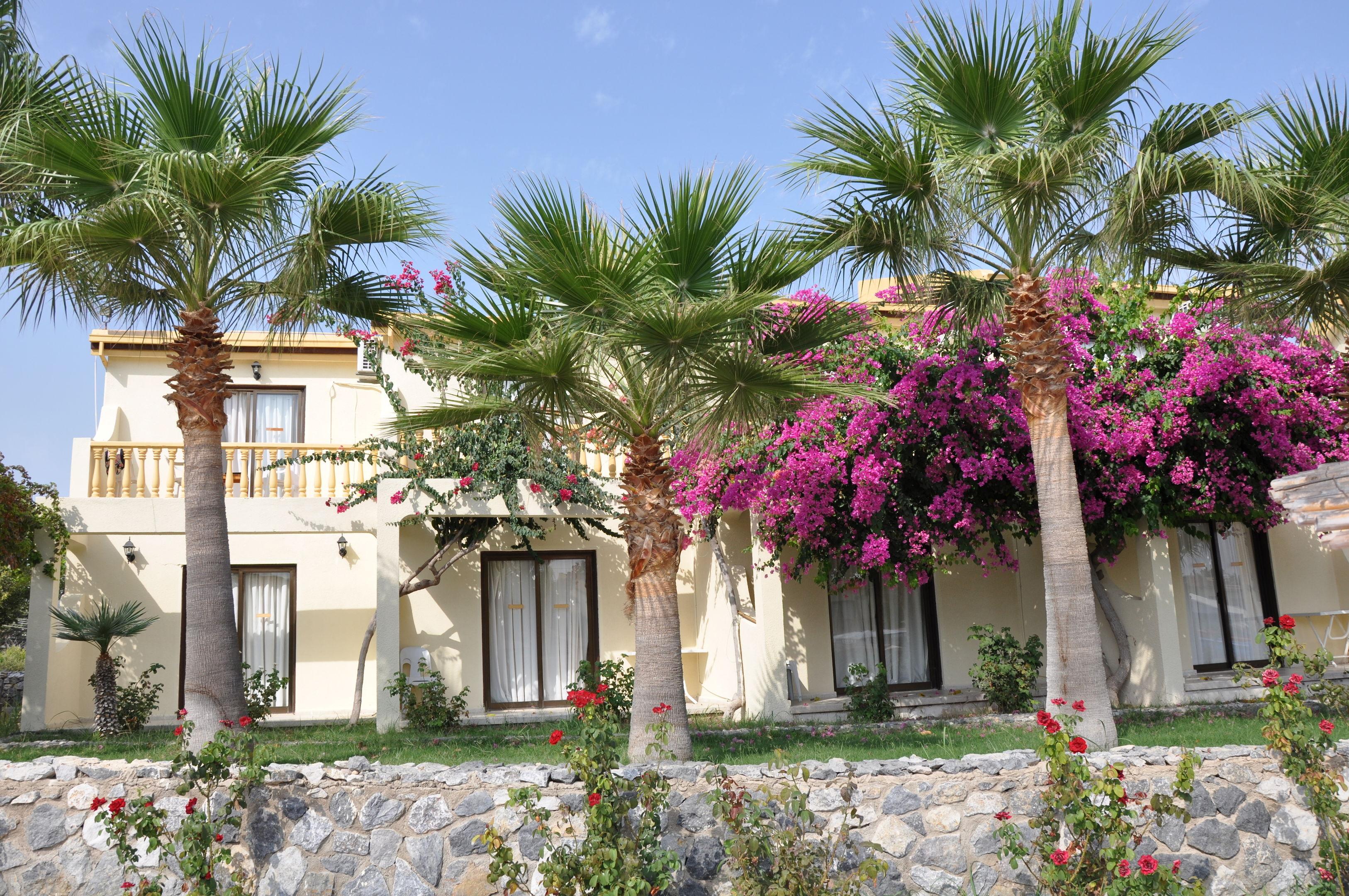 Club Simena Hotel — photo 5