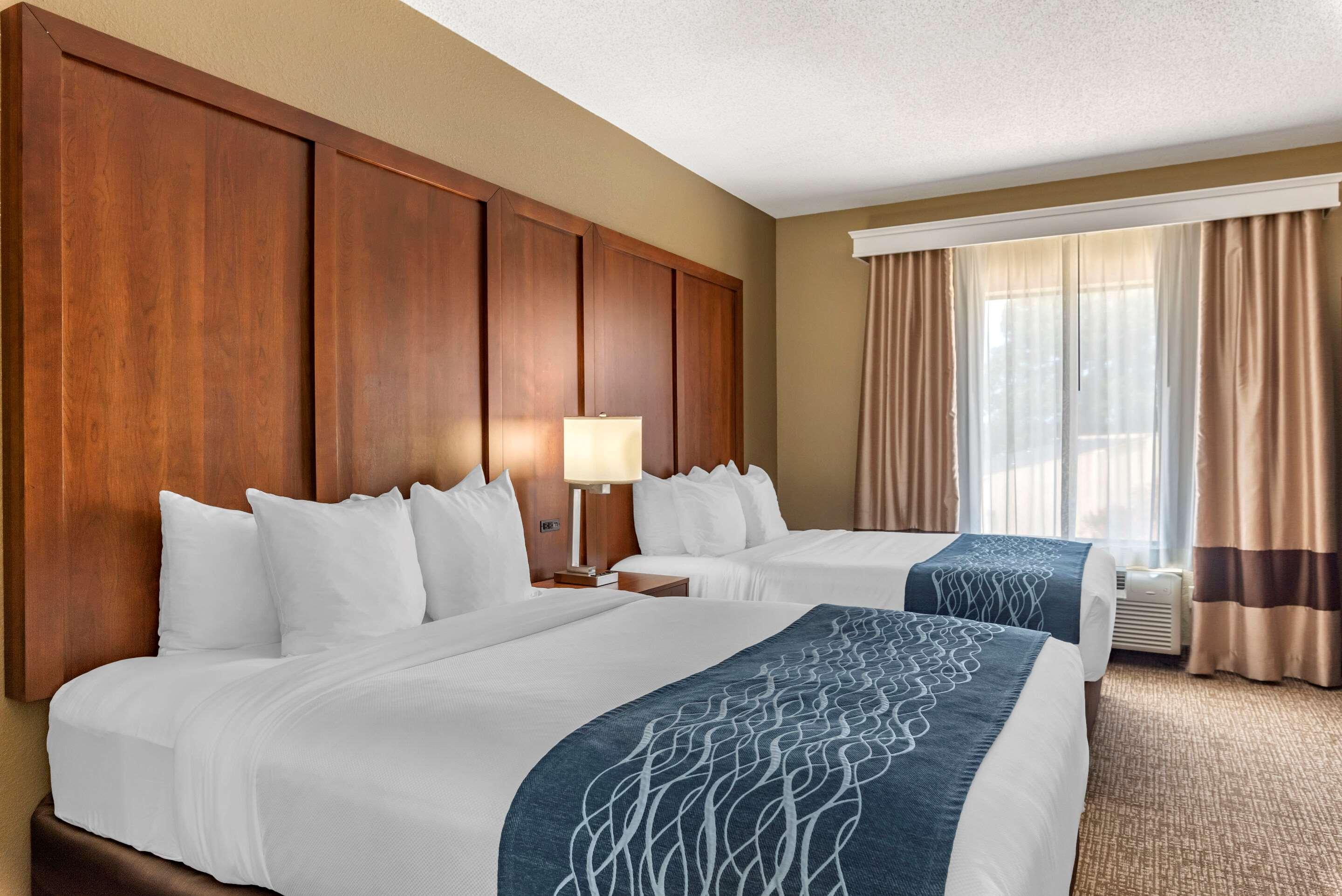 Comfort Inn & Suites — photo 4