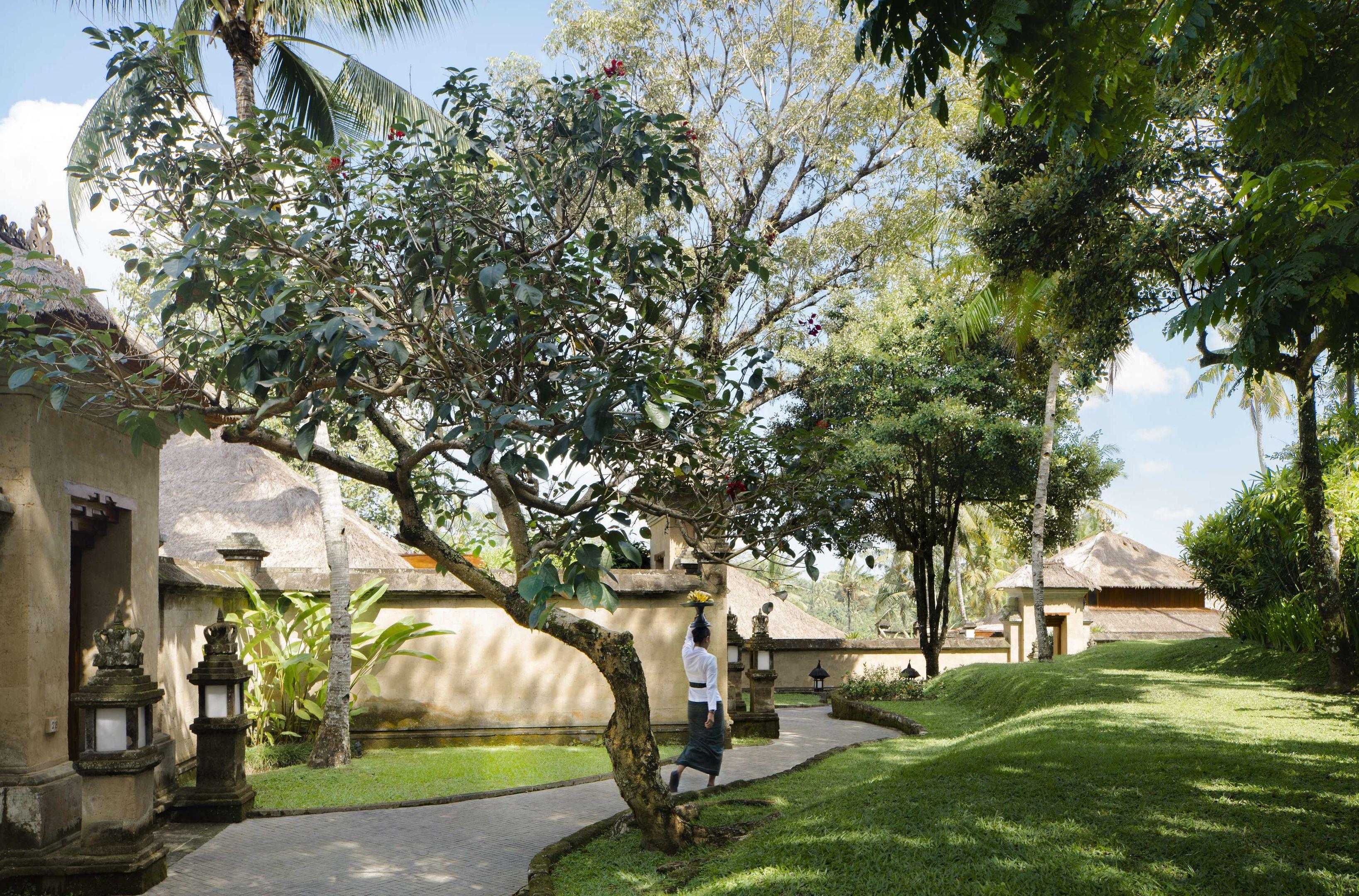 Amandari — photo 5