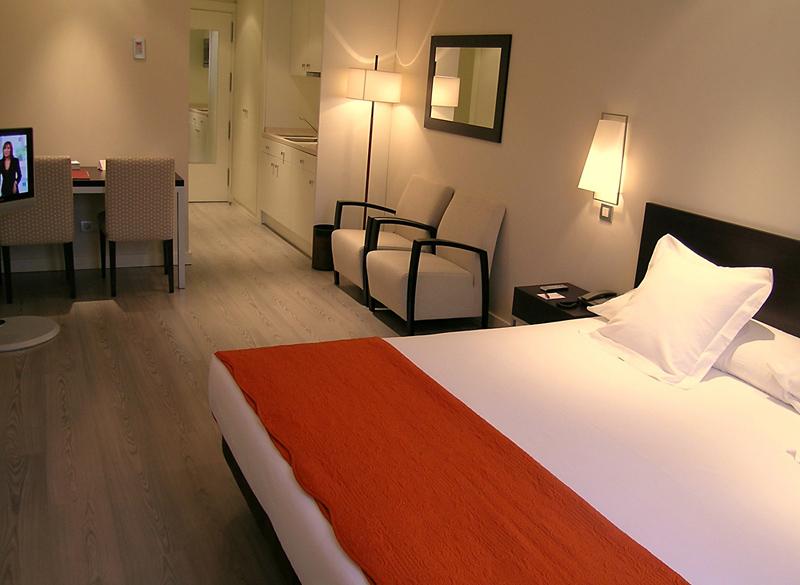 Suites Viena Plaza de España — photo 5