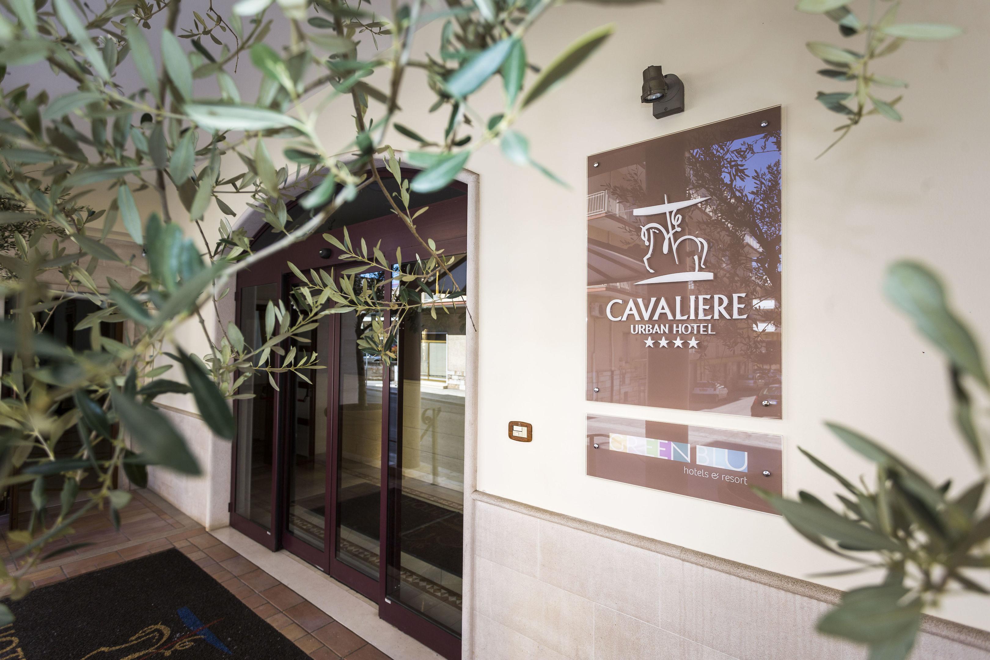 Cavaliere — photo 5