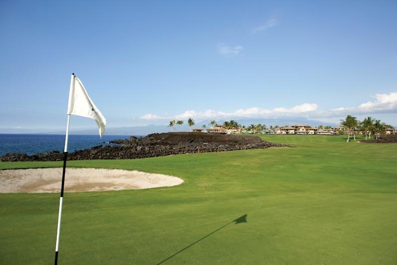 Halii Kai at Waikoloa — photo 3