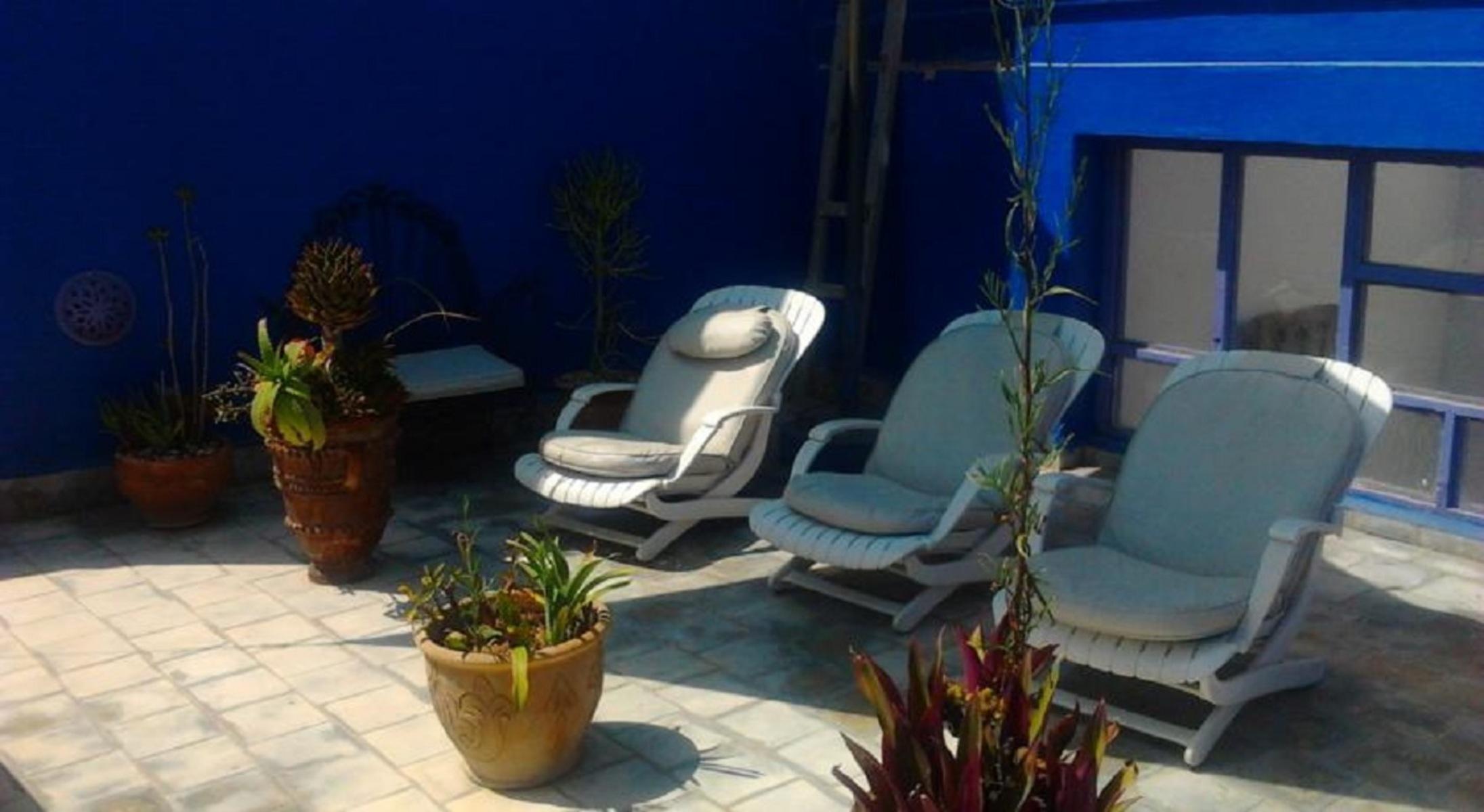 Darzayna — photo 5