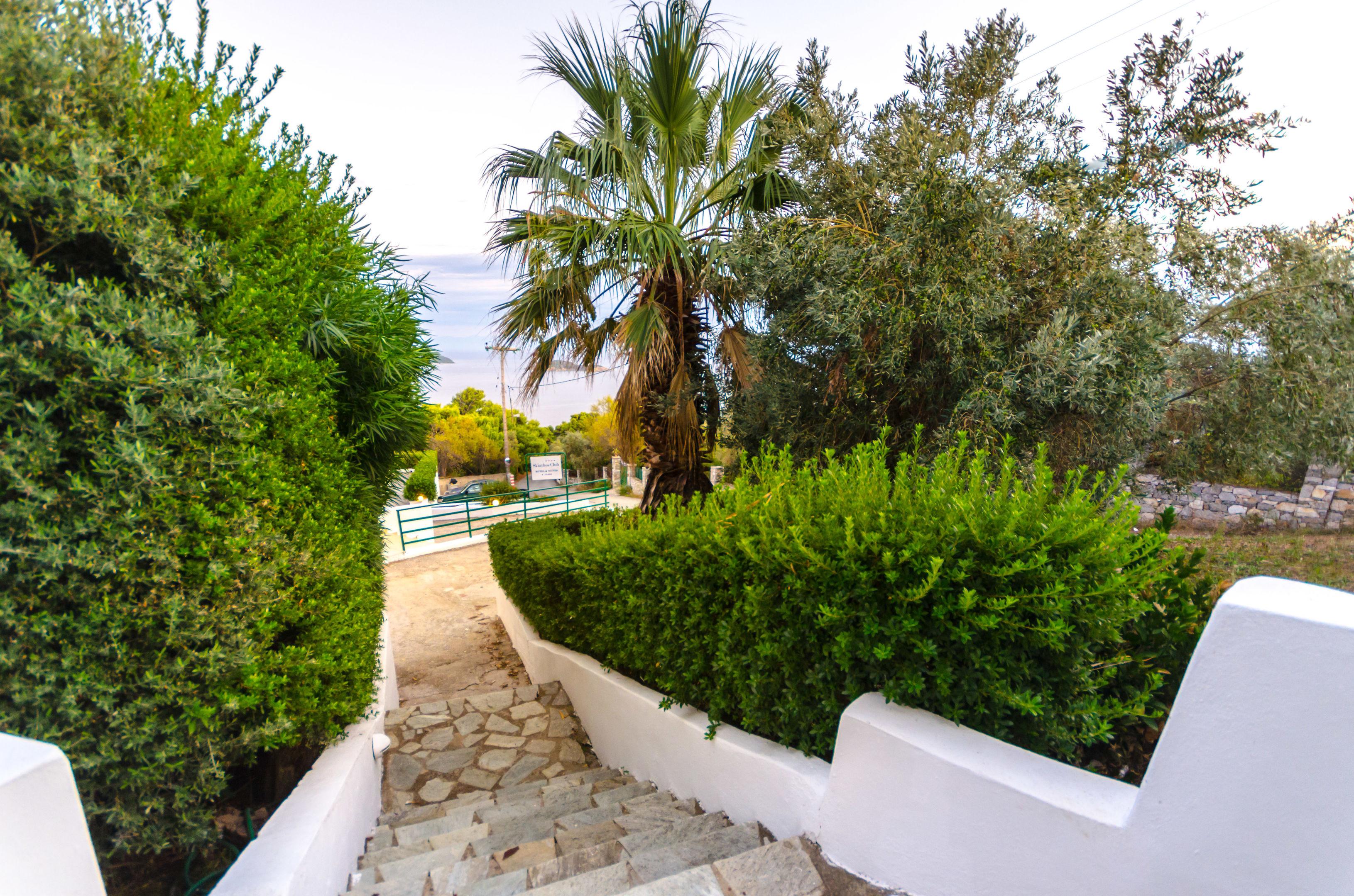 Skiathos Club Hotel and Suites — photo 4