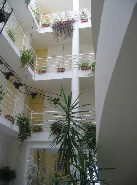 Justo — photo 4