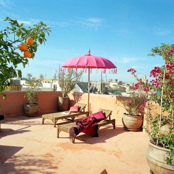 Riad Herougui — photo 4
