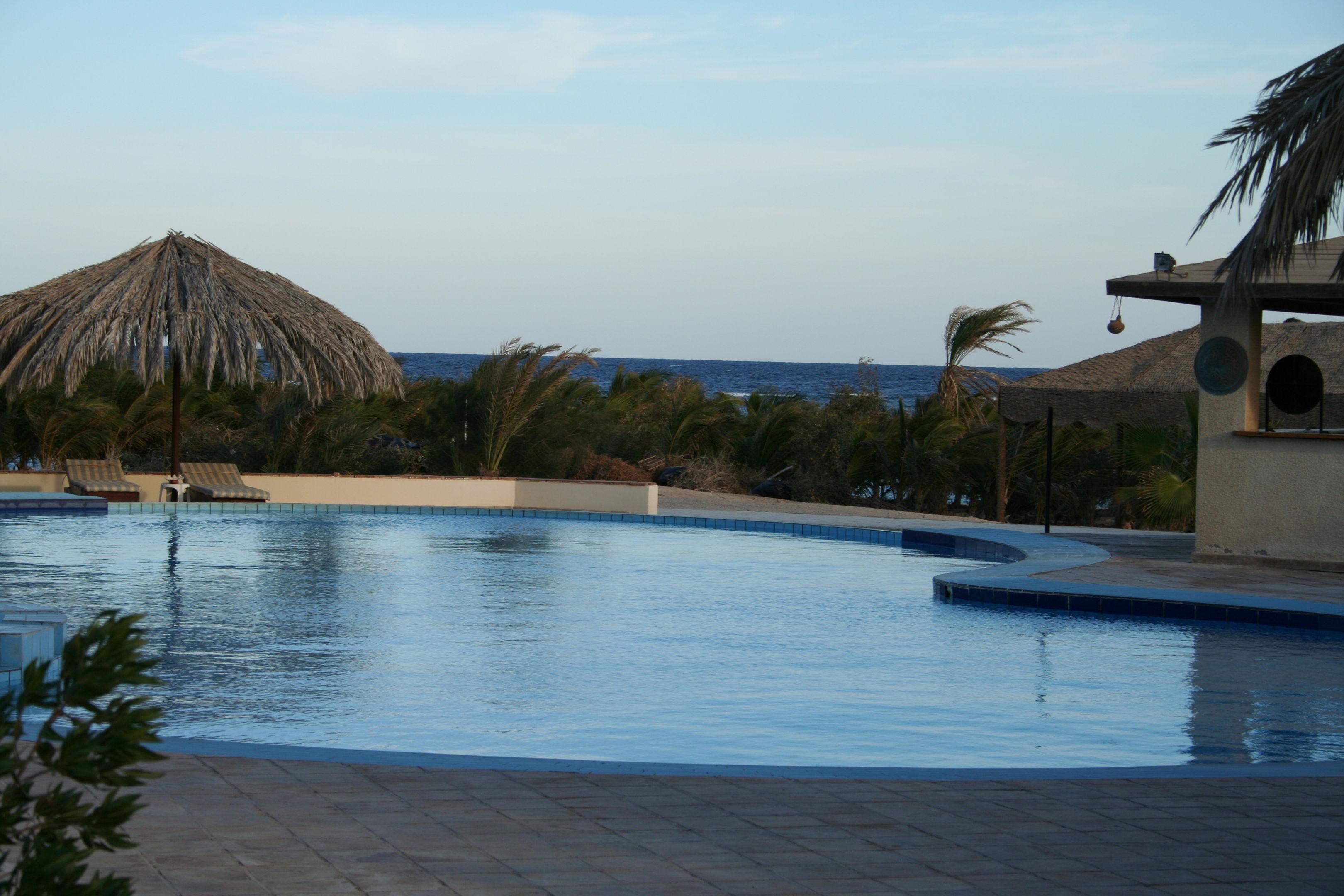 Mangrove Bay Resort — photo 4