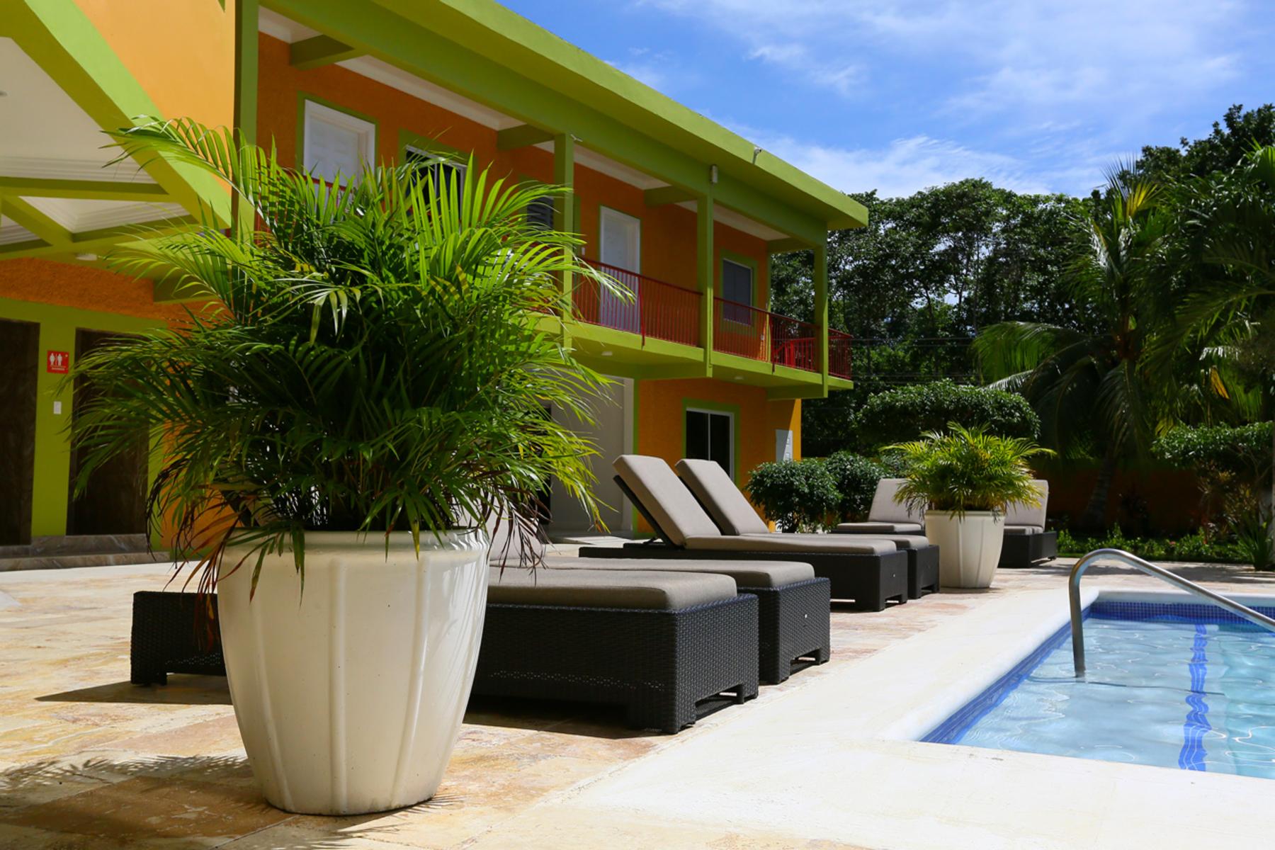 The Oasis Resort — photo 4