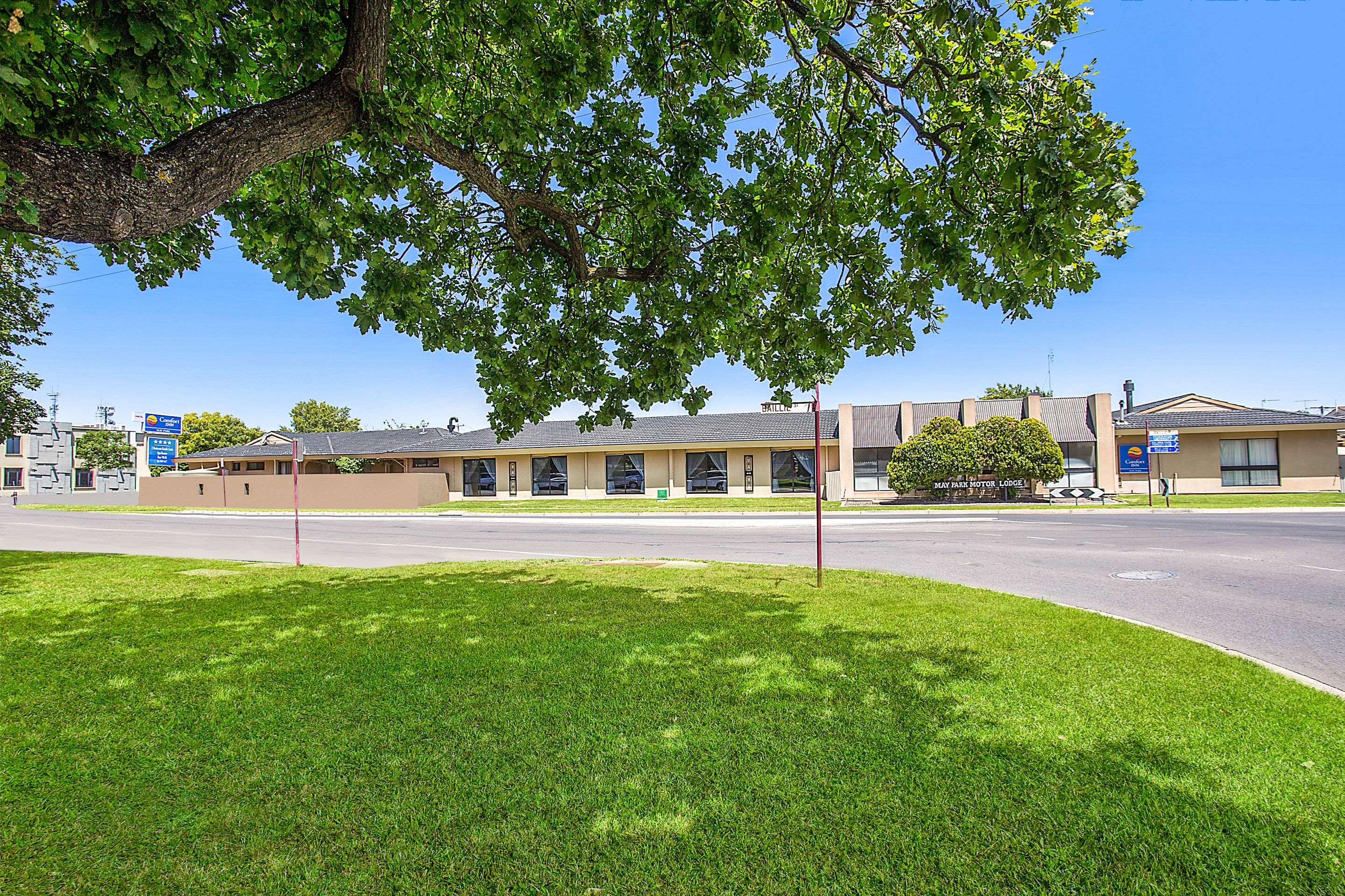 Comfort Inn May Park — photo 4