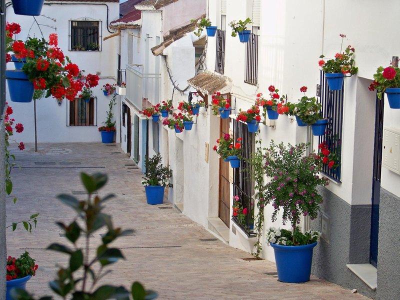 Mare Estepona — photo 4
