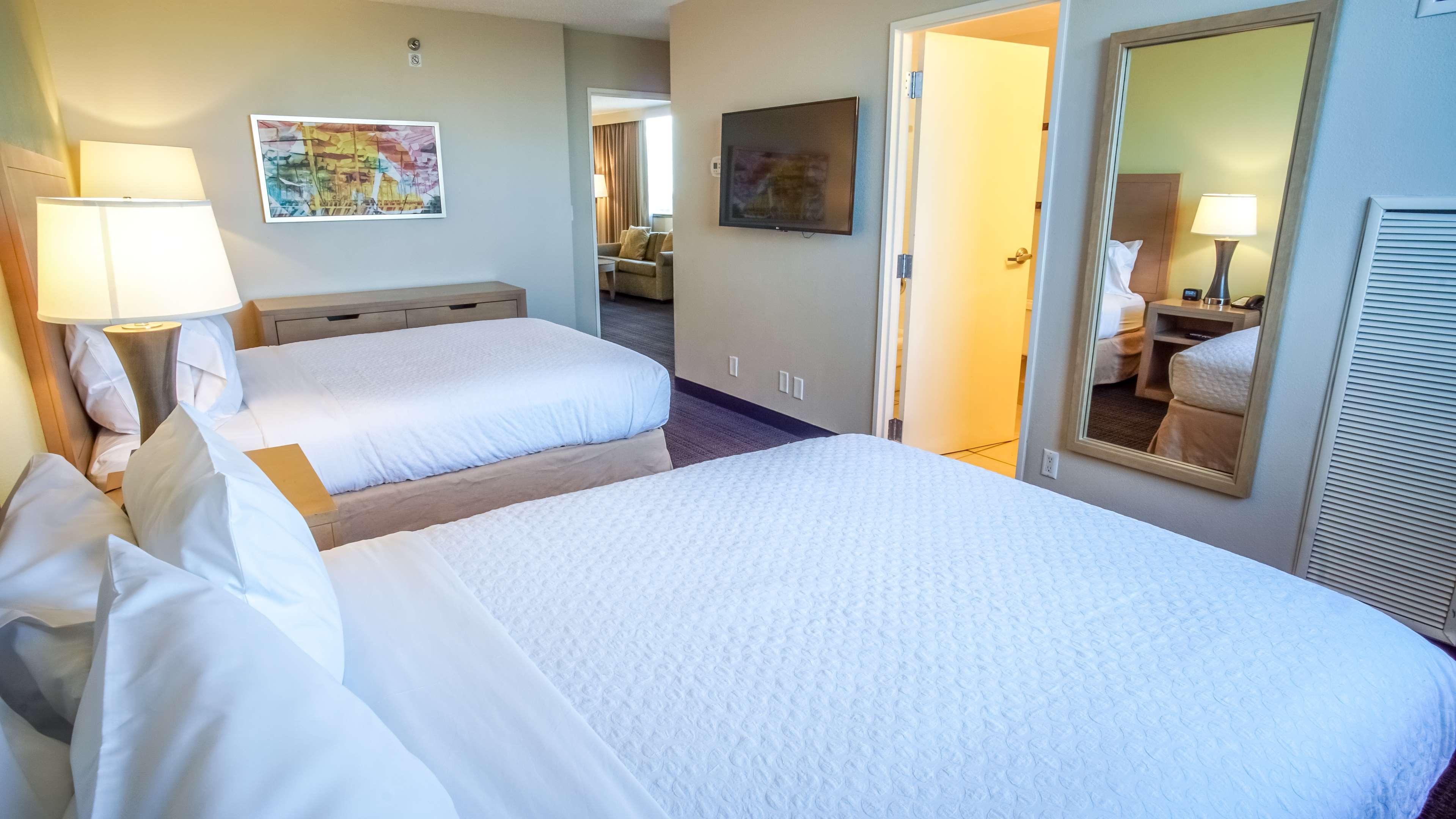 Embassy Suites by Hilton Tampa Airport Westshore — photo 5