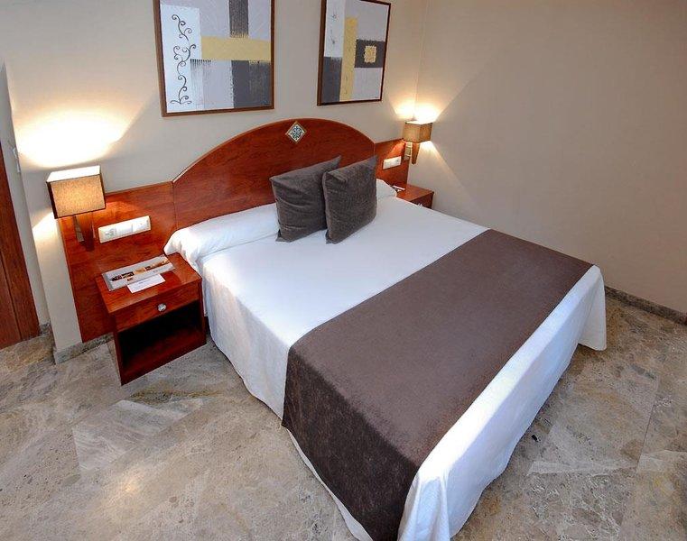 Sercotel Torico Plaza — photo 4