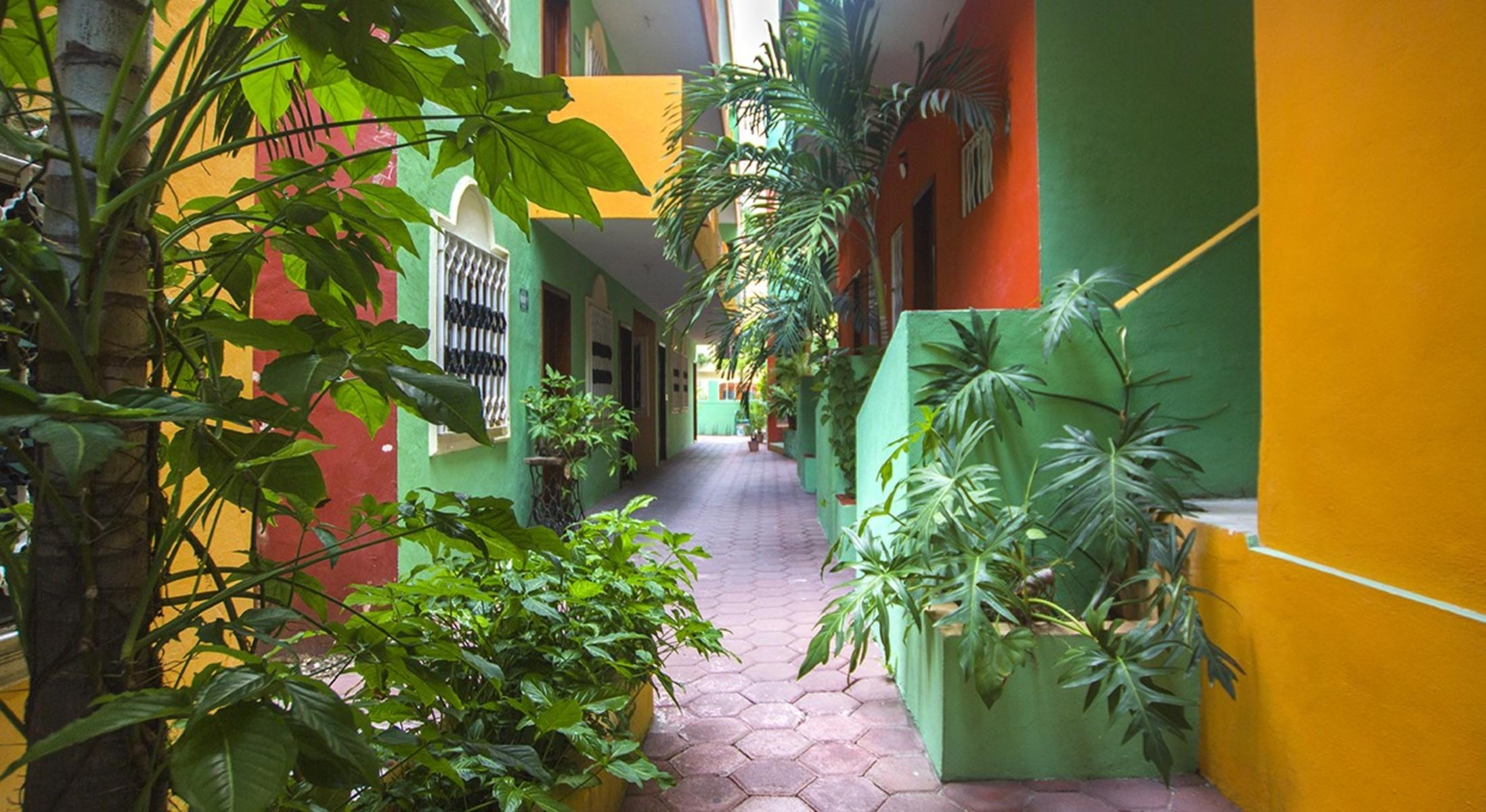 Ko'ox Playa Hotel — photo 4