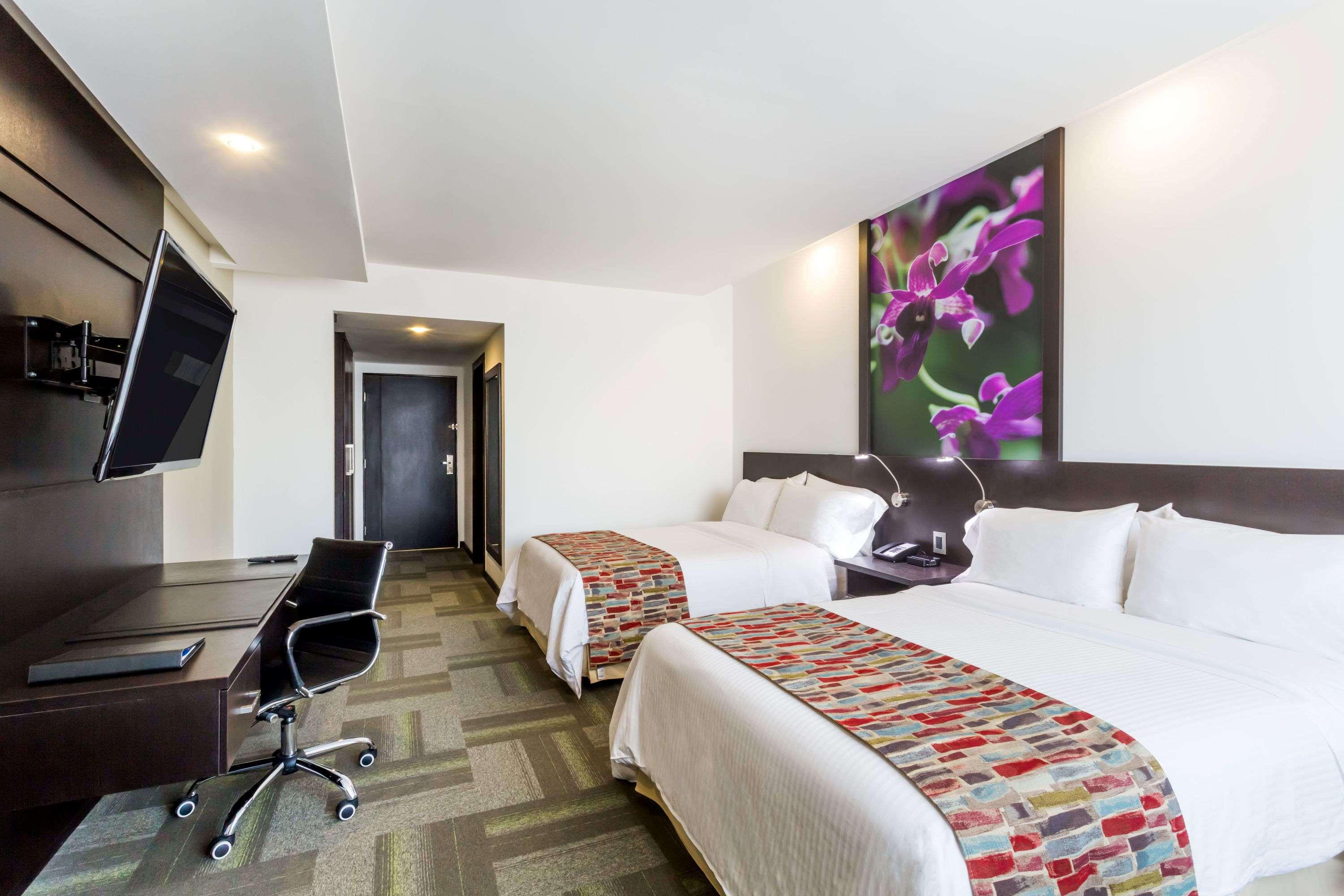 Wyndham Quito Airport — photo 4