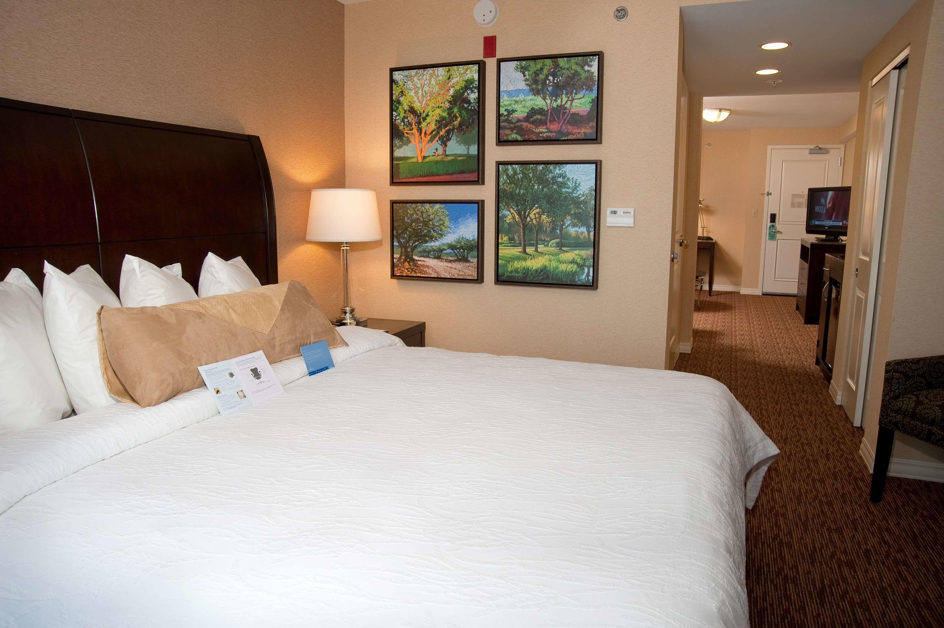 Hilton Garden Inn St. Louis Airport — photo 4
