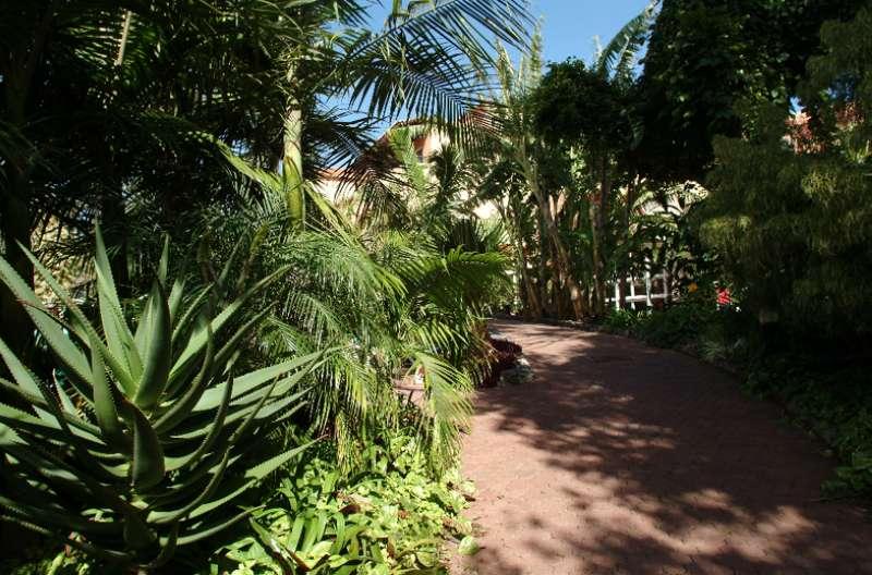 Pestana Village Garden Hotel — photo 4