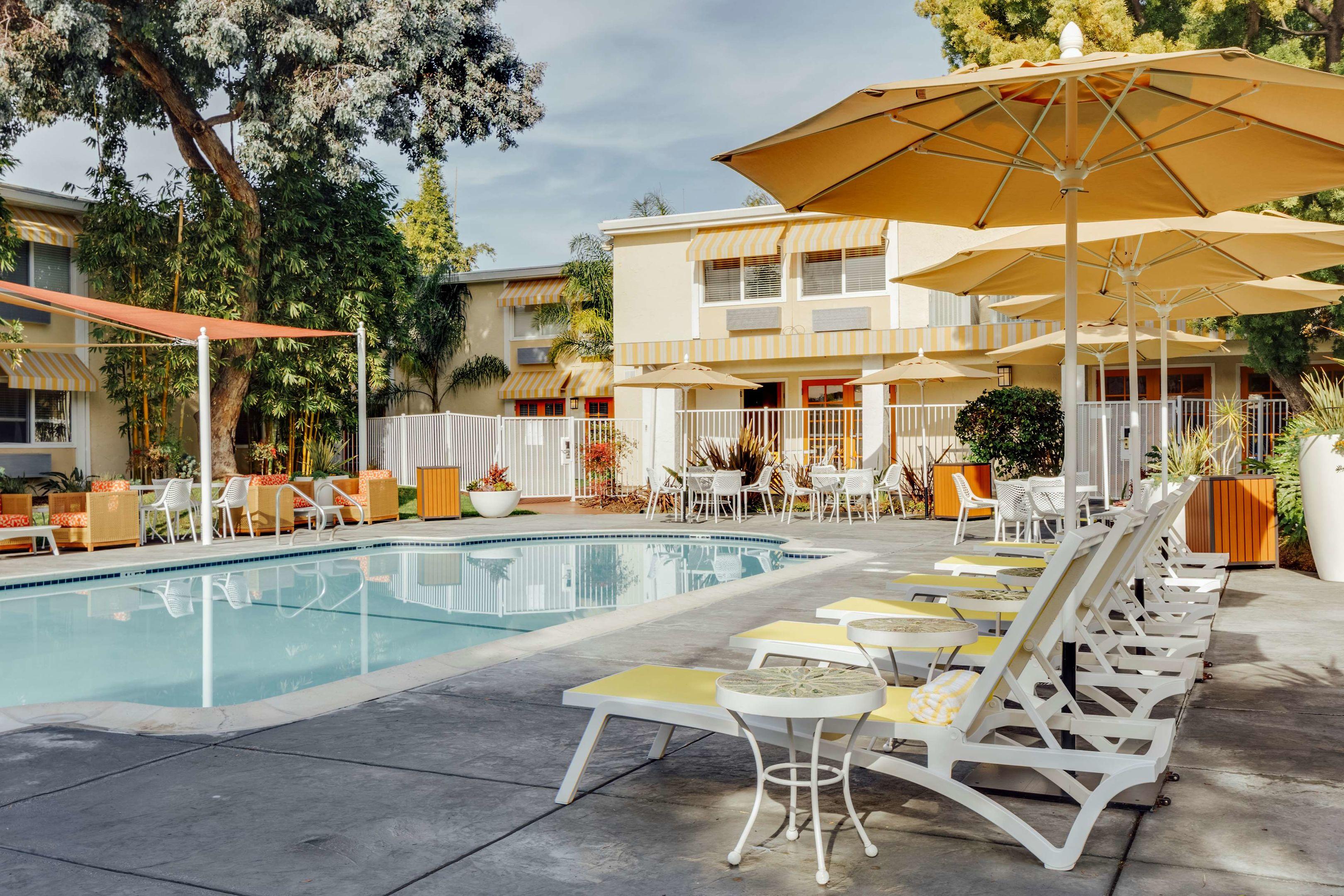 Wild Palms Hotel — photo 5