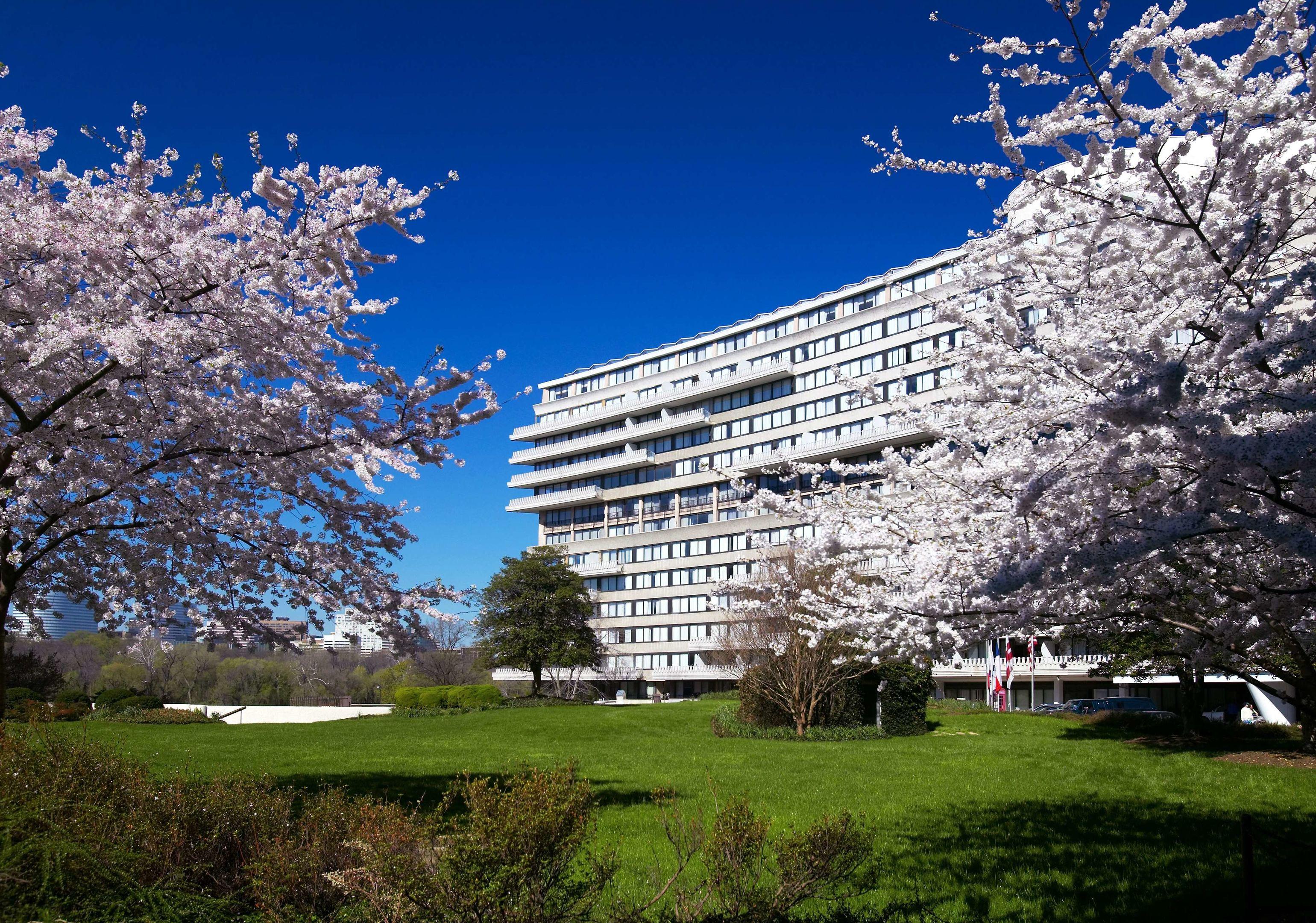 The Watergate Hotel — photo 3
