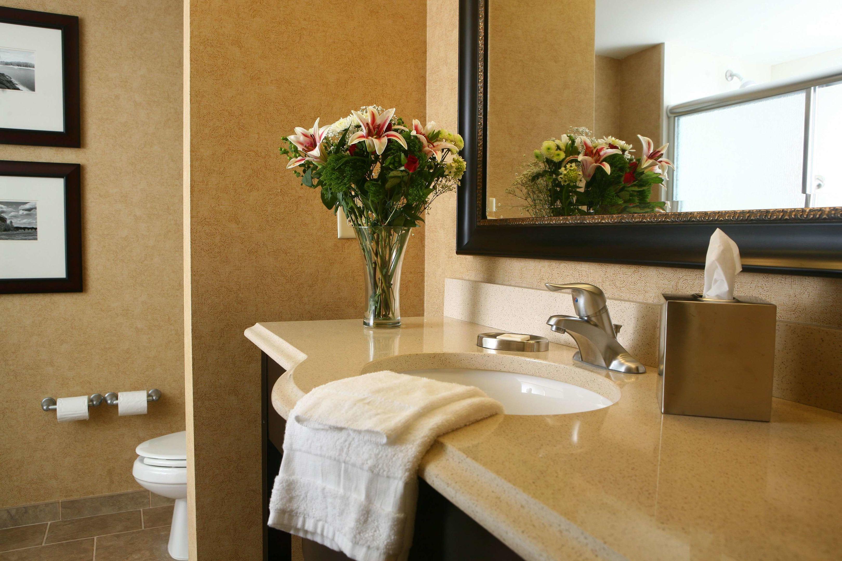 Hampton Inn Atlanta-Canton — photo 4