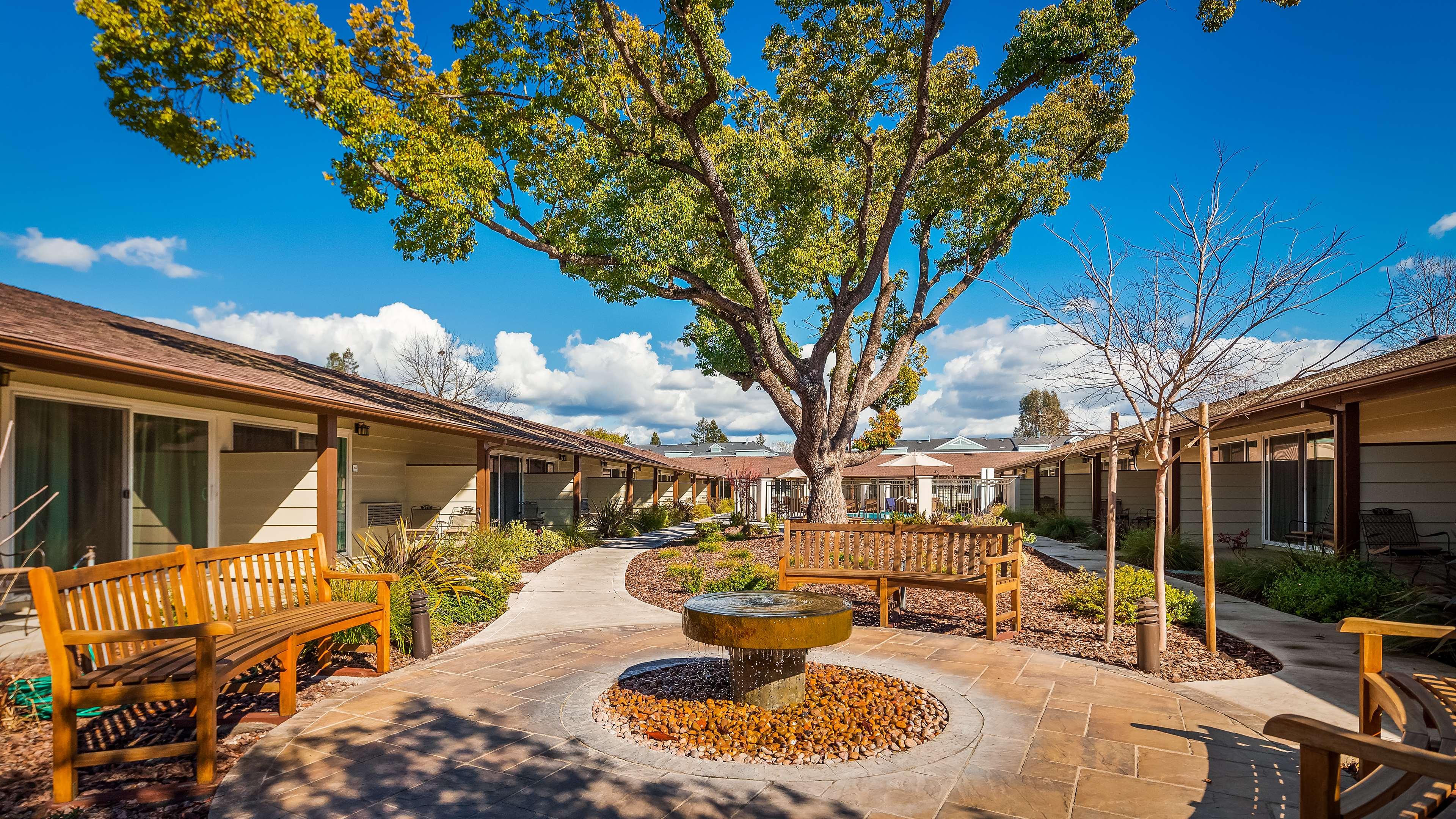Best Western Hotel Garden Inn — photo 3