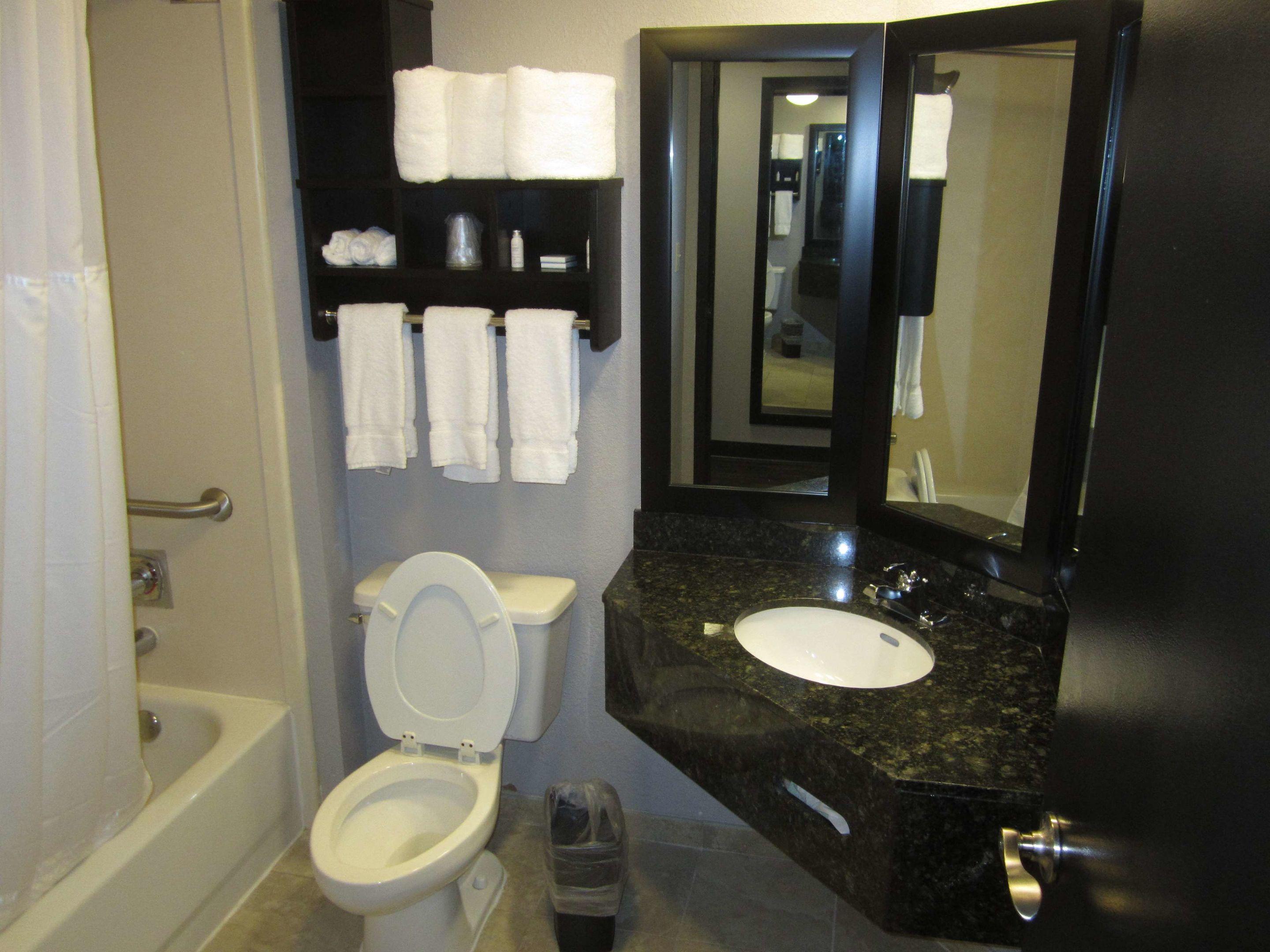 Best Western Plus Carrollton Hotel — photo 4