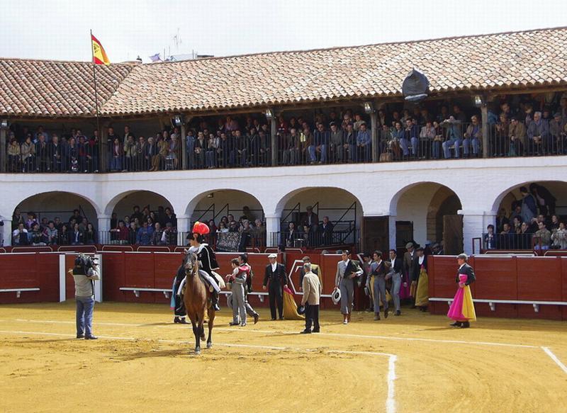 Hotel Plaza de Toros — photo 4