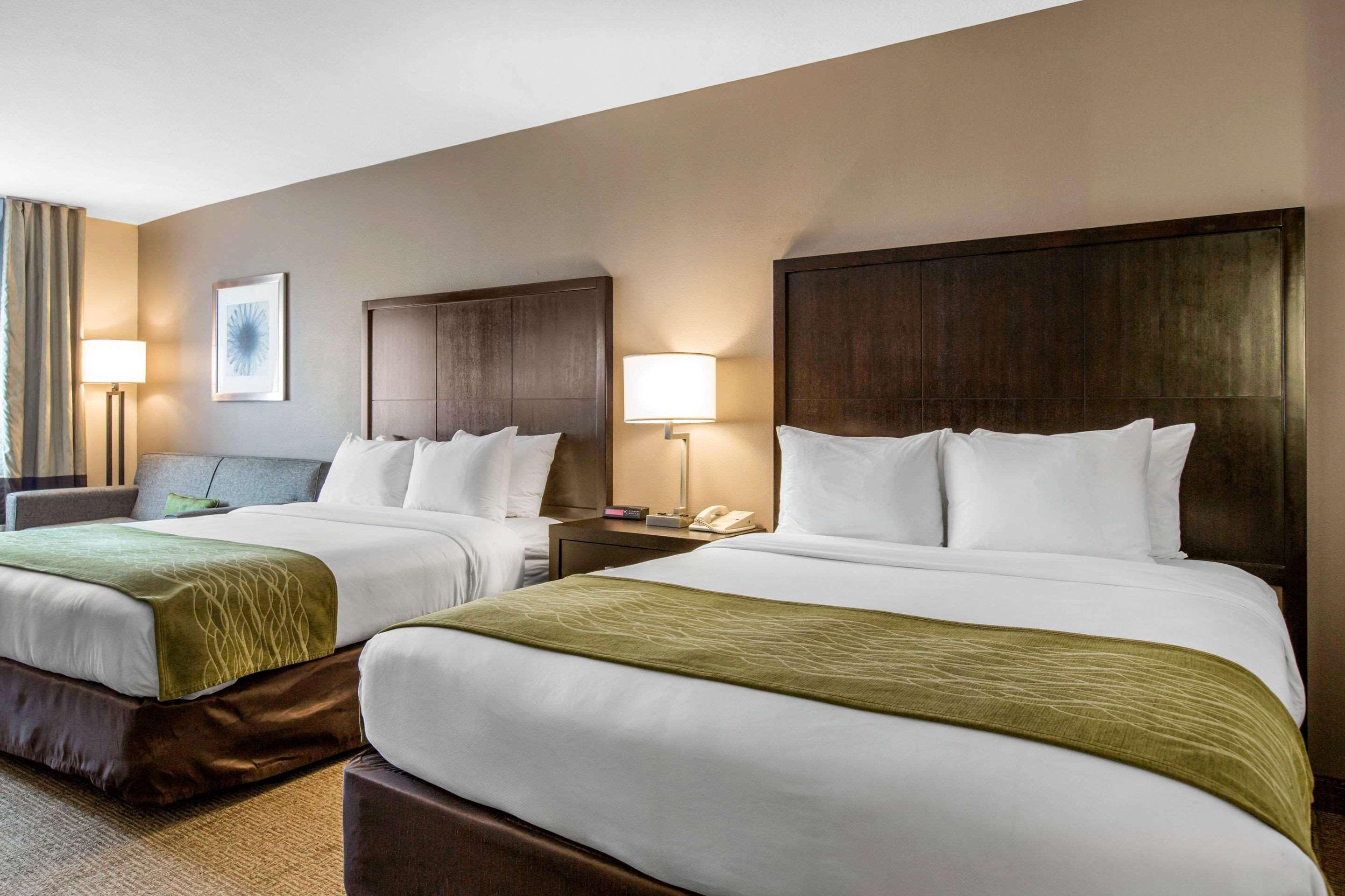 Comfort Inn & Suites Zoo Sea World Area — photo 5