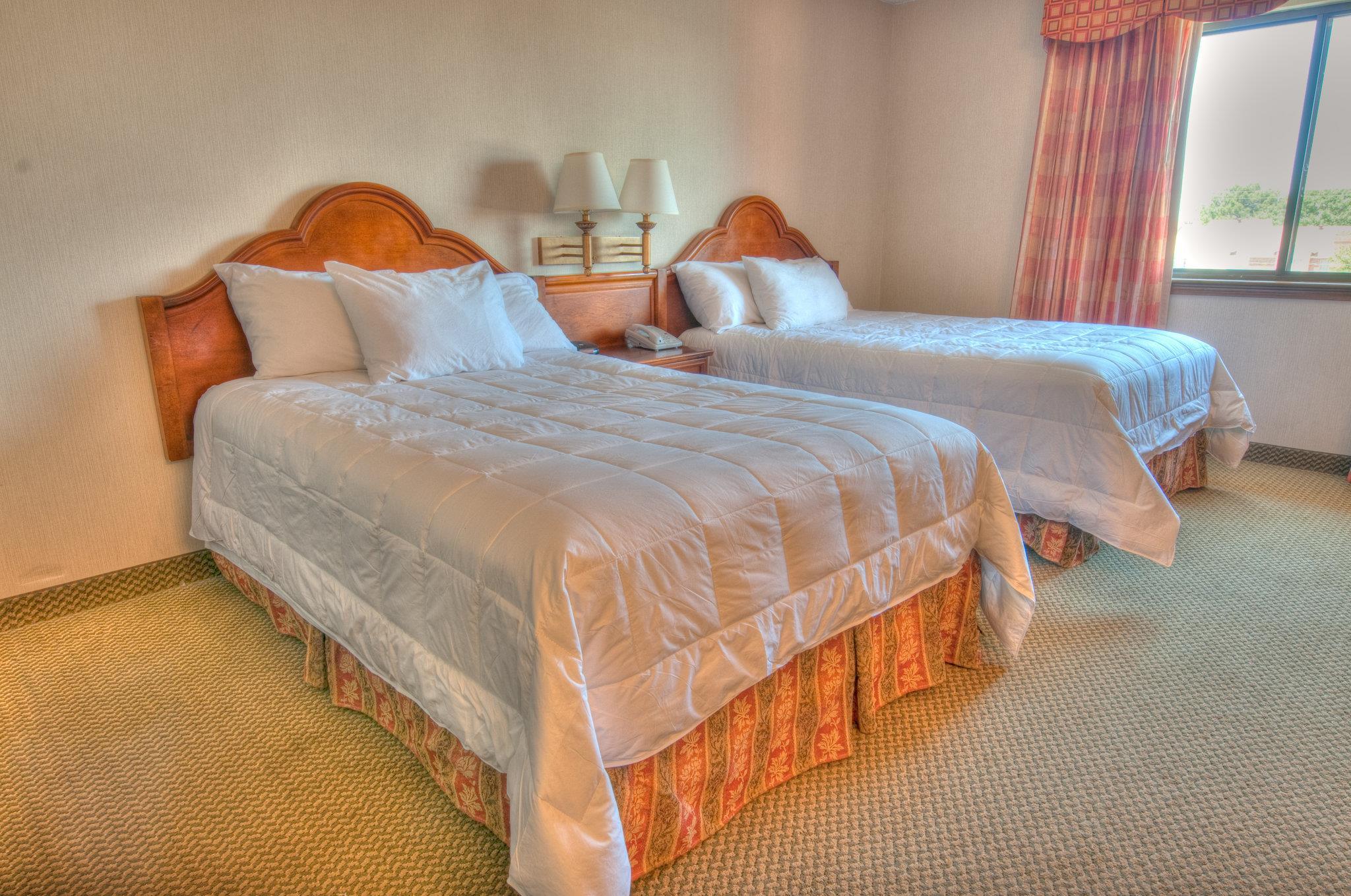 MCM Elegante Suites — photo 5