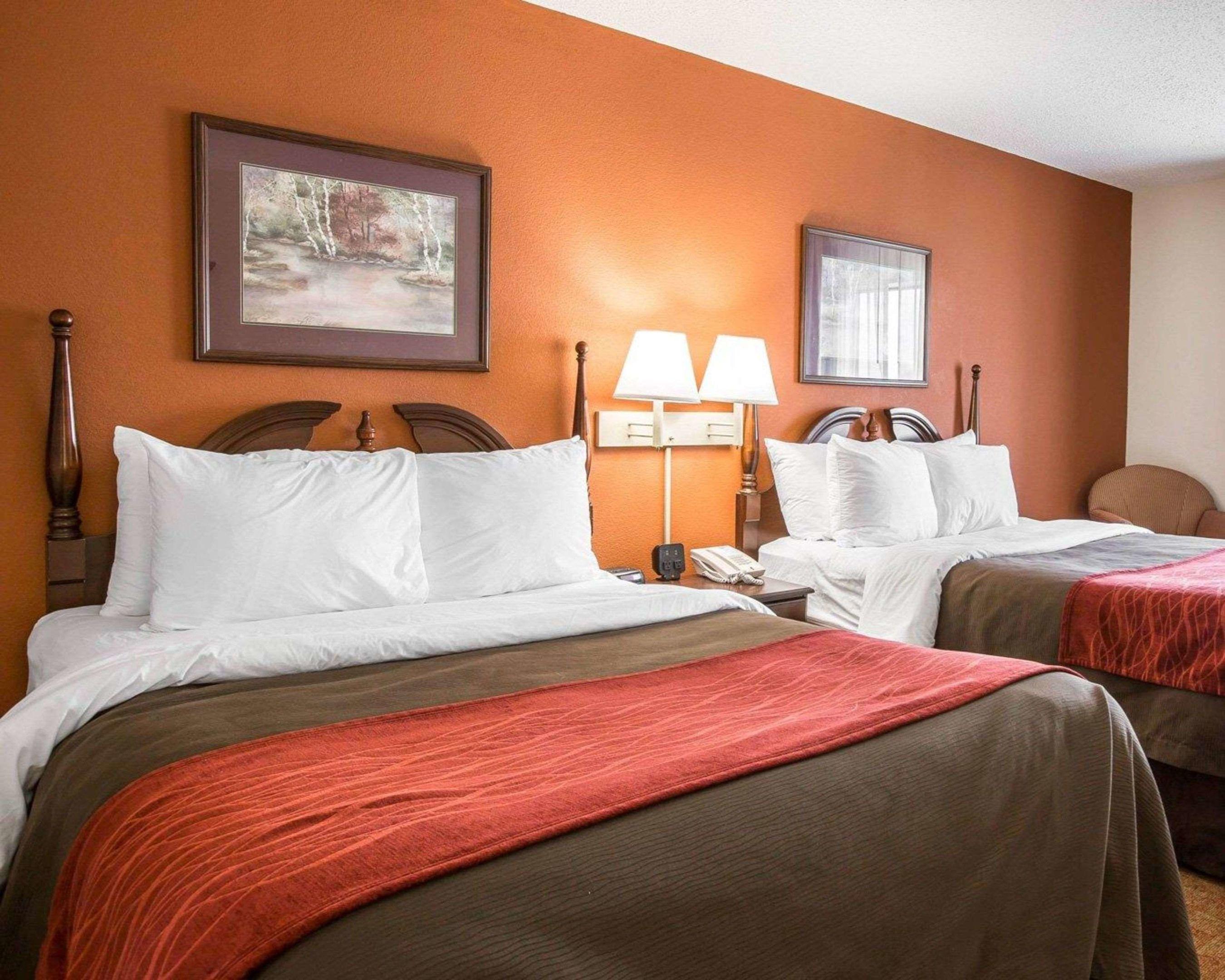 Comfort Inn & Suites At I-85 — photo 4