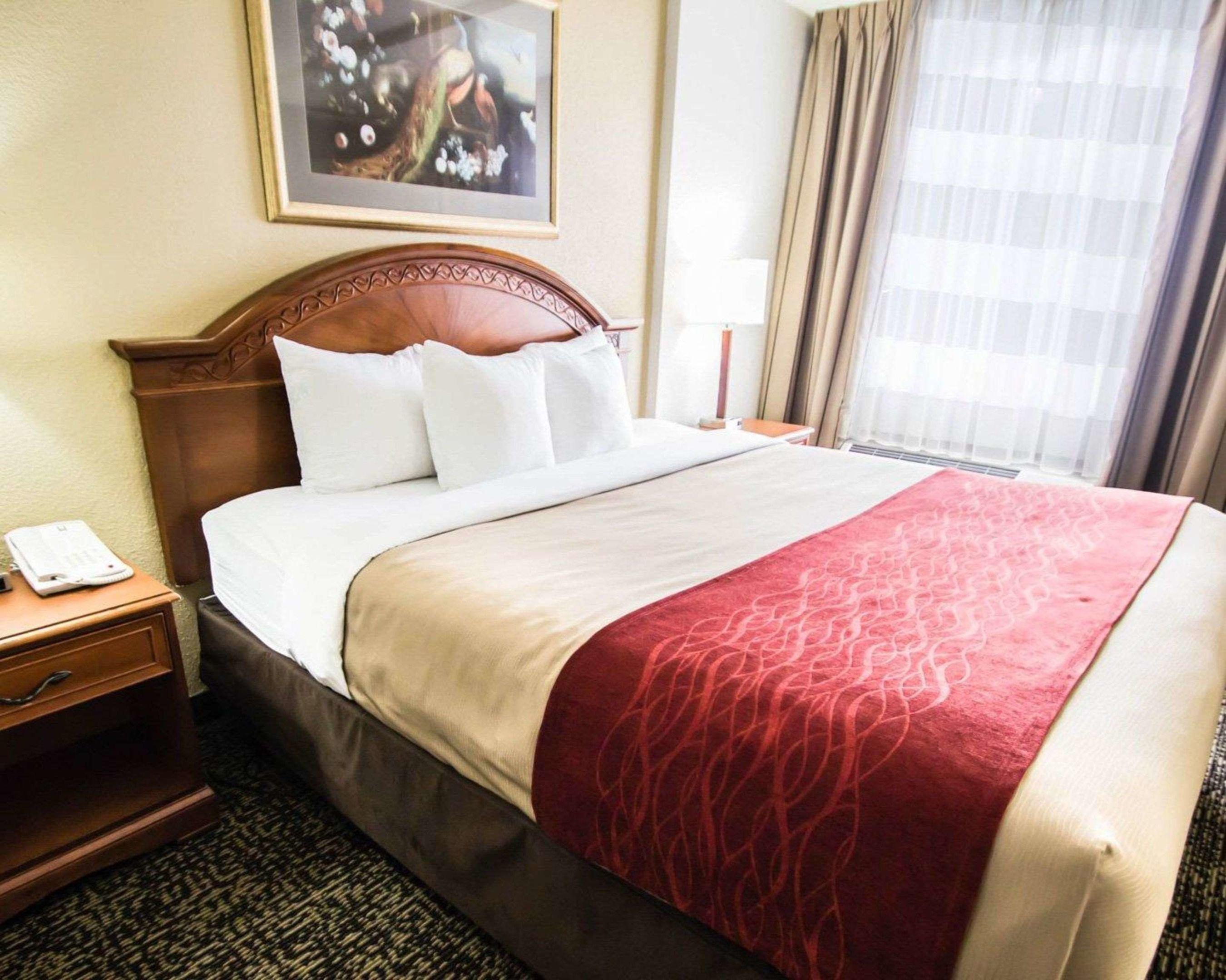 Quality Inn & Suites Winter Park Village — photo 5
