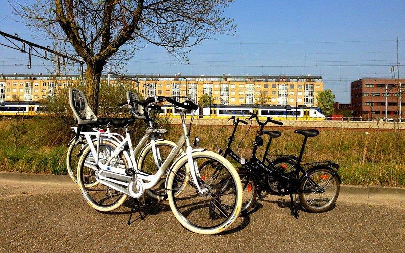 Best Western Zaan Inn — photo 5