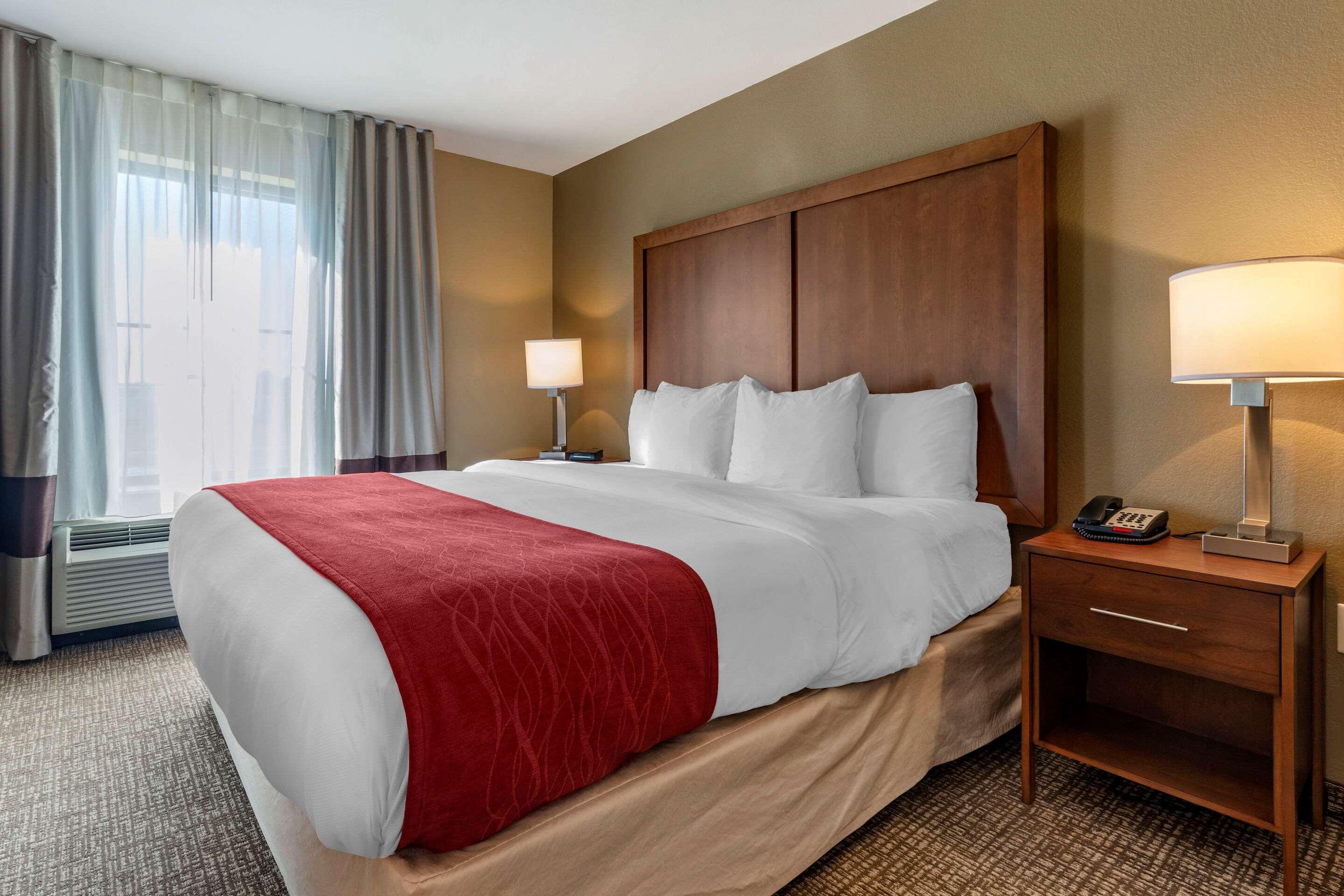 Comfort Inn & Suites — photo 4