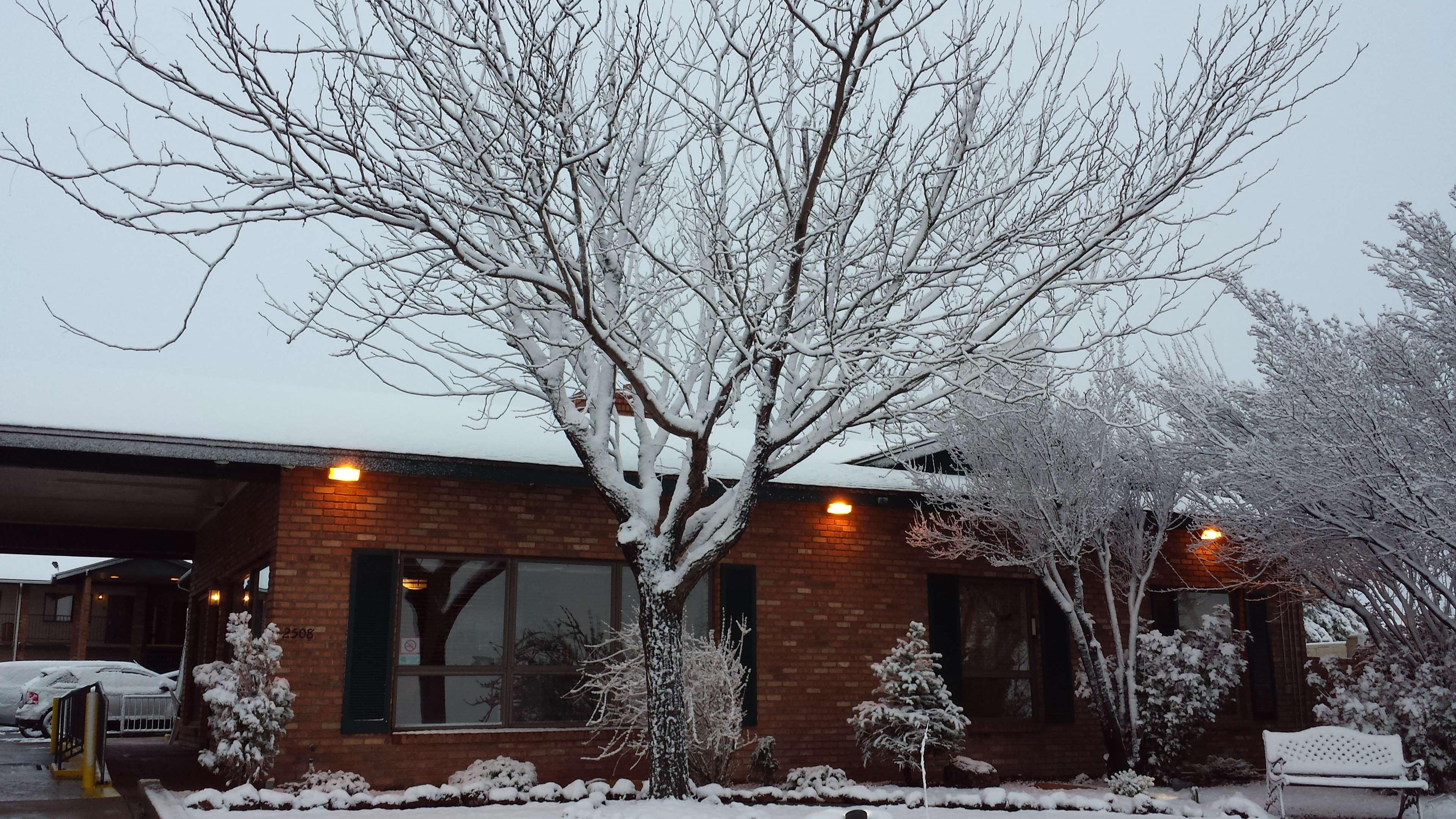 Best Western Arizonian Inn — photo 4