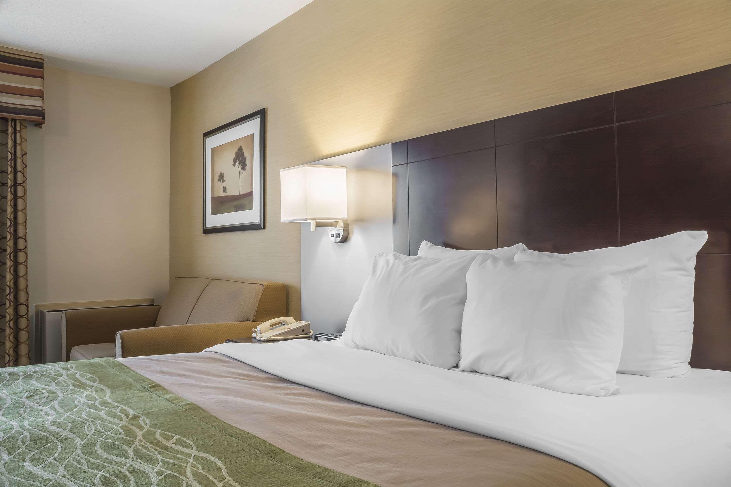 Comfort Inn Chatham — photo 4
