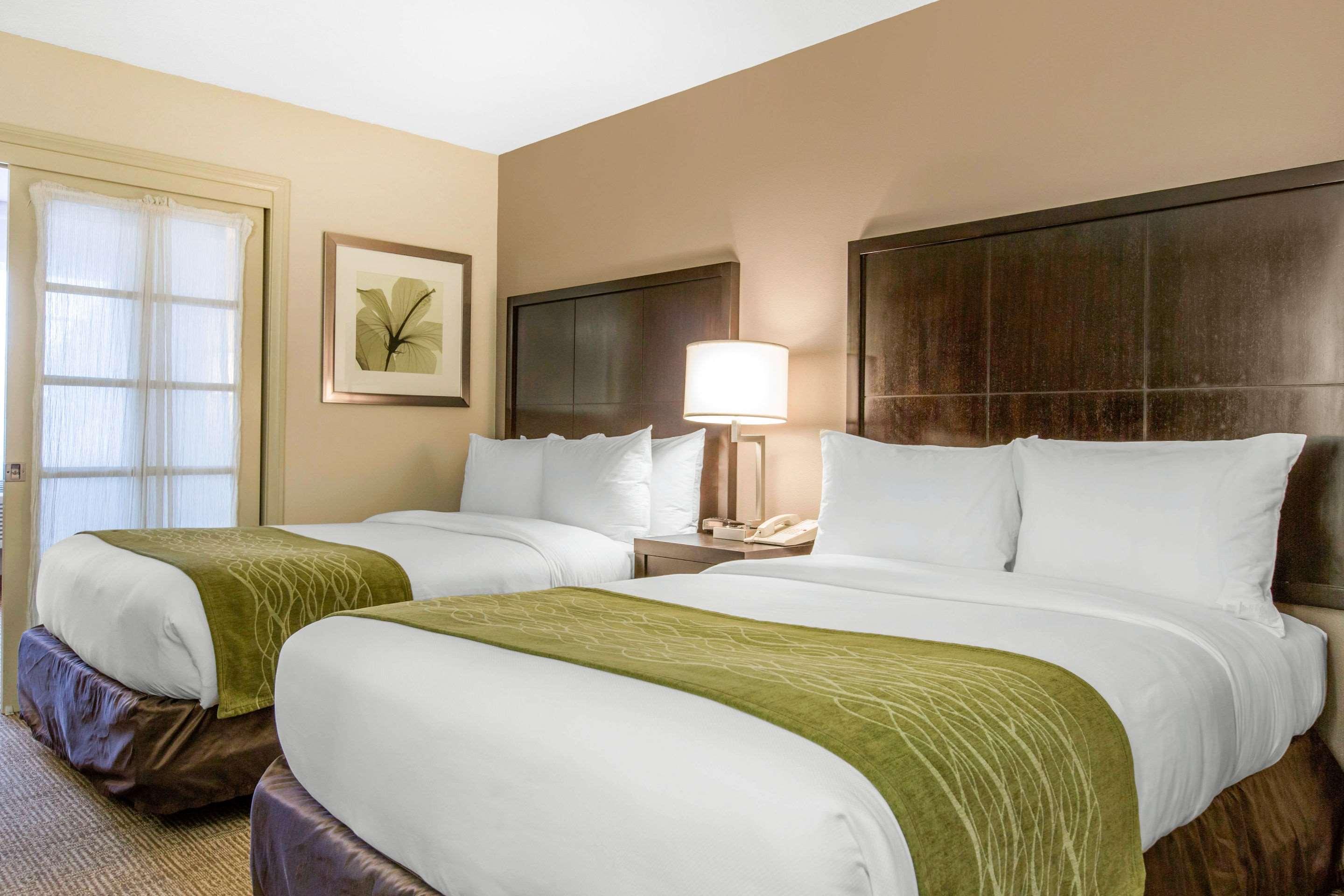 Comfort Inn & Suites Zoo Sea World Area — photo 4