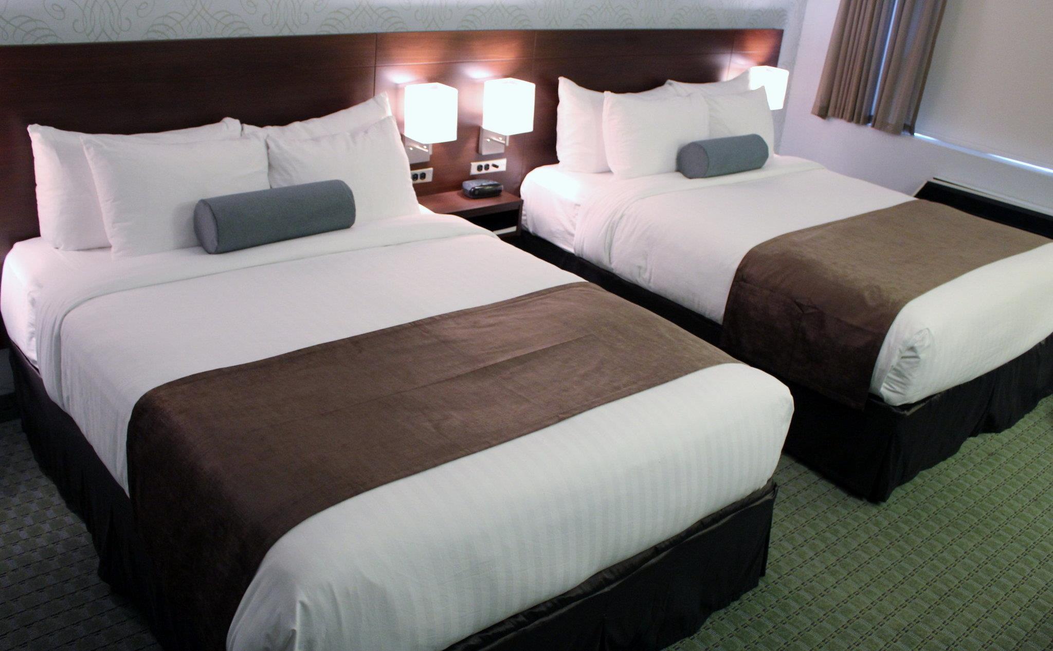Rodd Moncton Hotel — photo 4