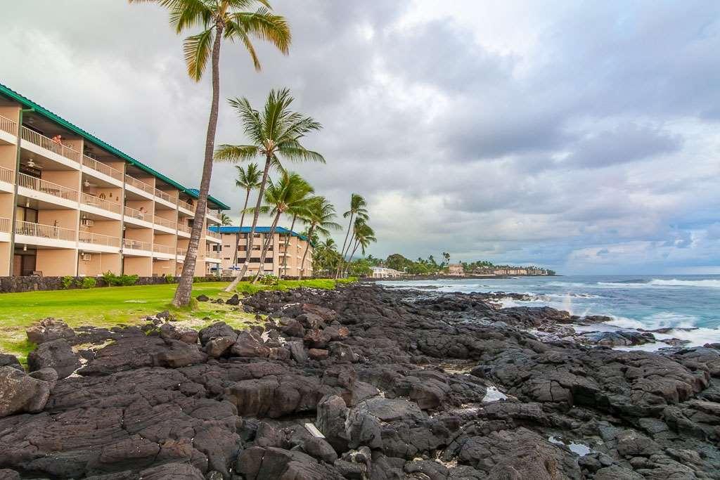 Kona Reef — photo 3