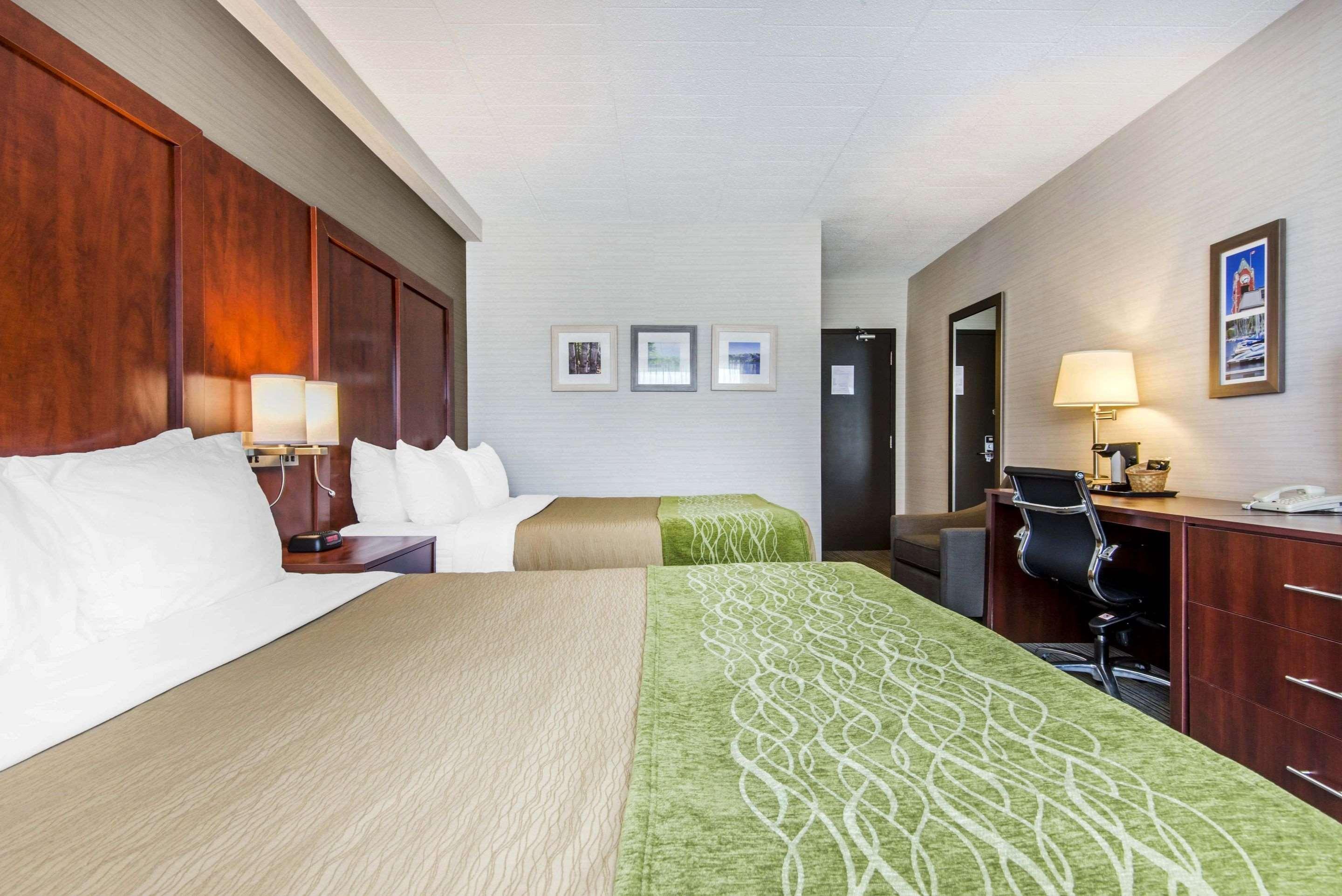 Comfort Inn & Suites Collingwood — photo 5