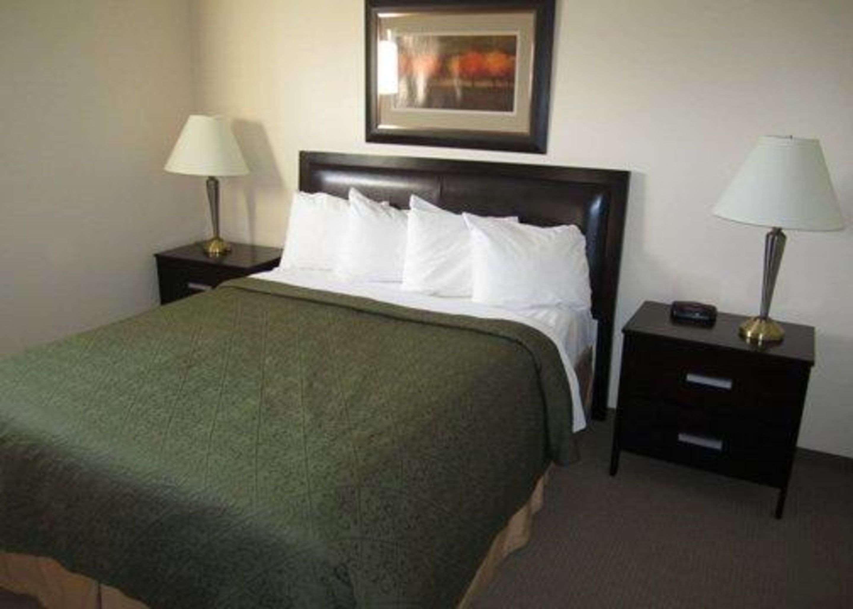 Quality Inn — photo 4