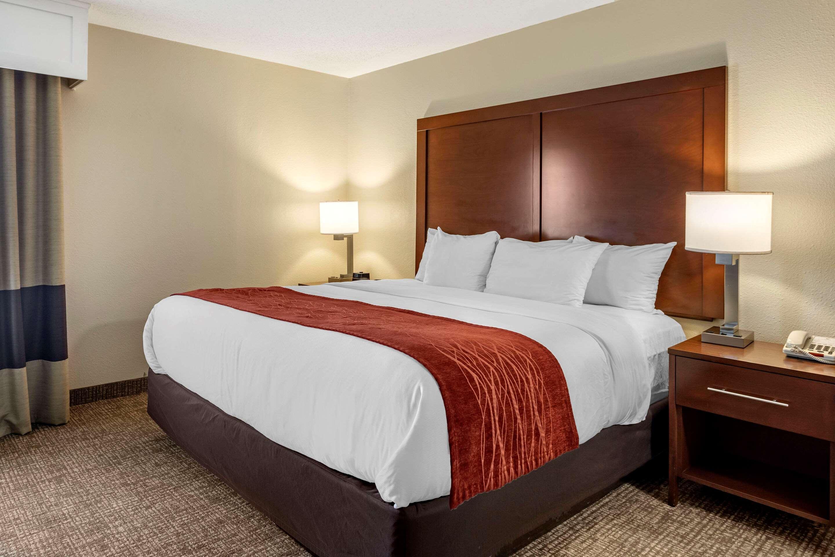 Comfort Inn & Suites Airport — photo 4
