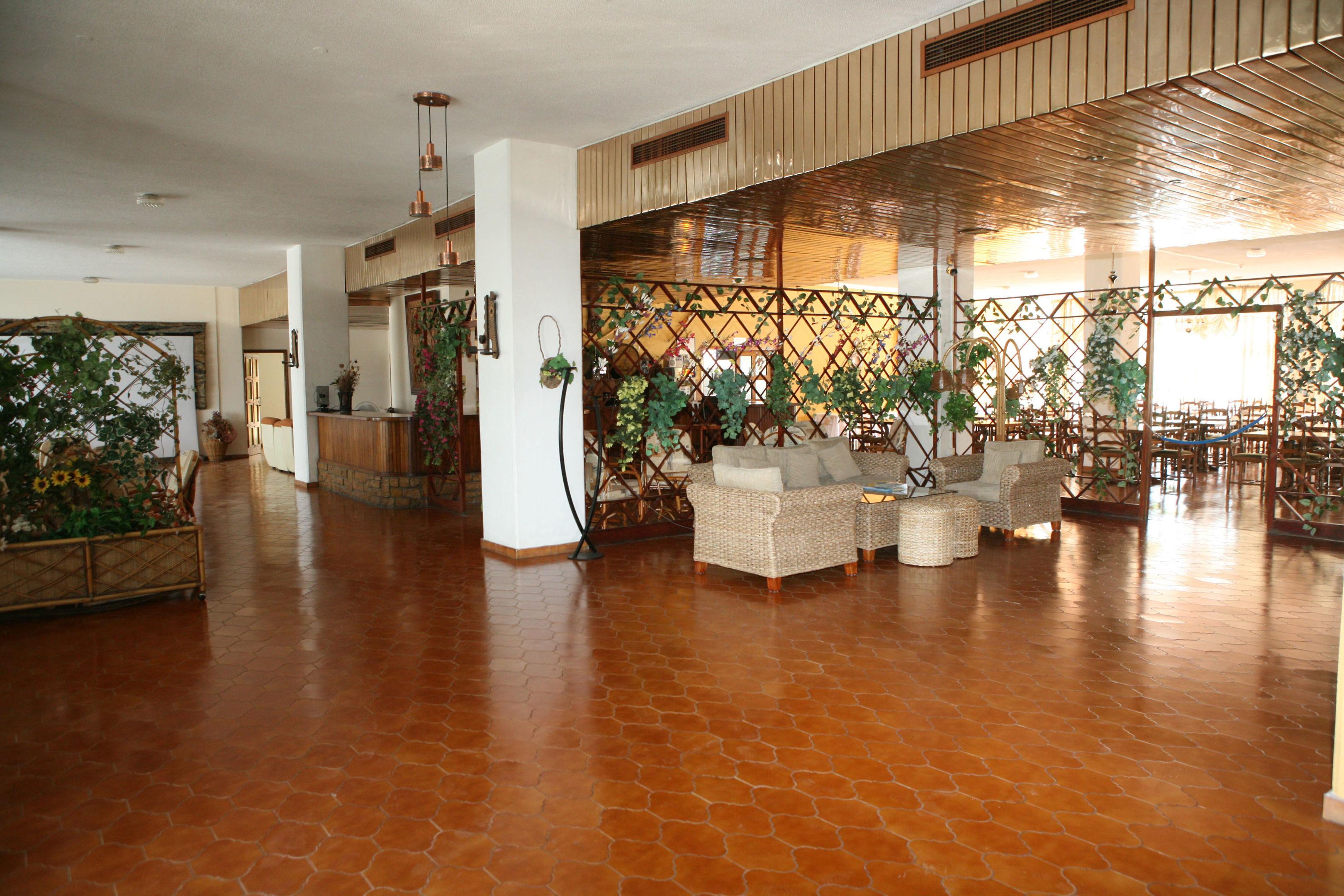 Sylva — photo 4